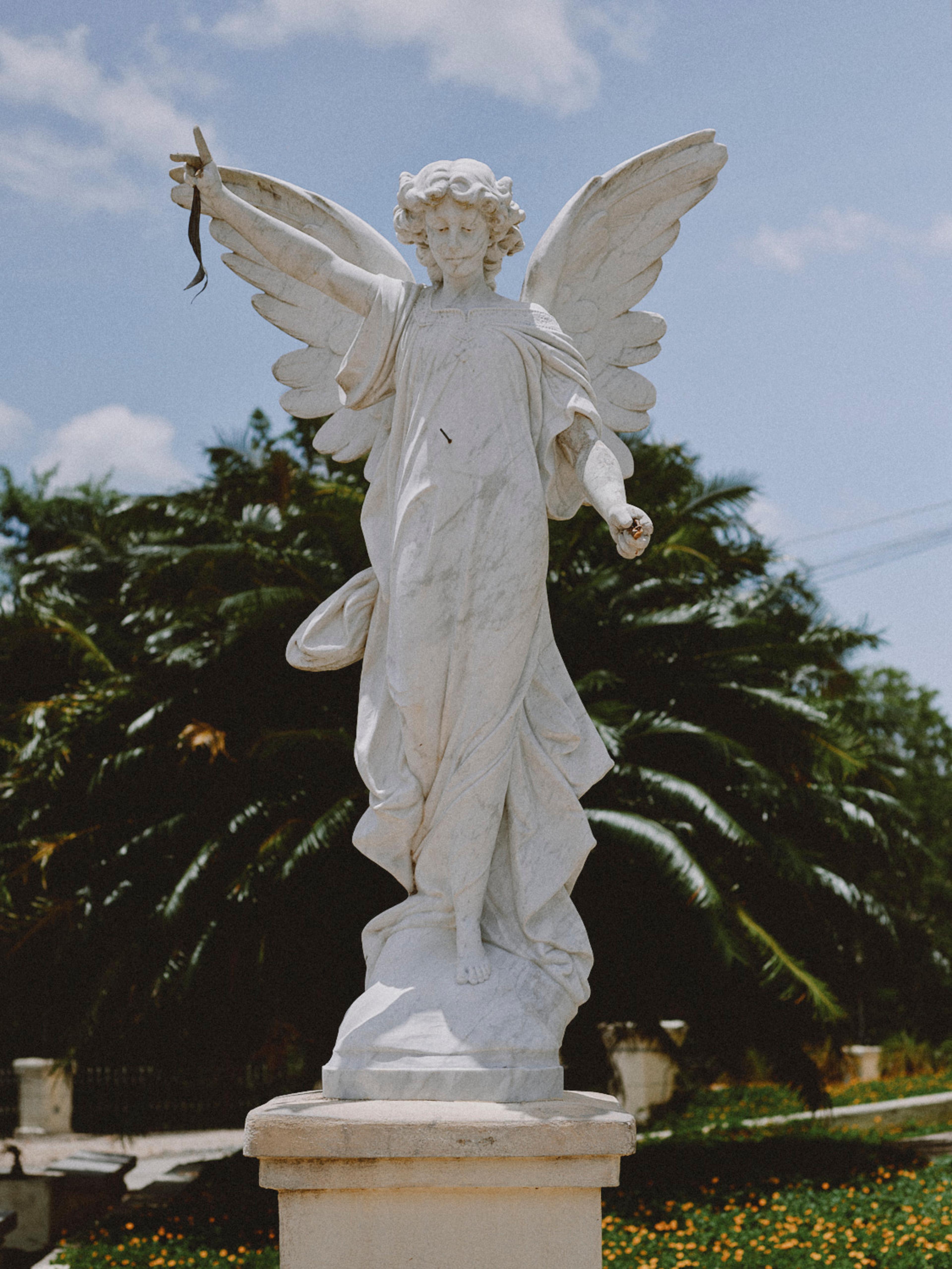 Image from Anoush Abrar