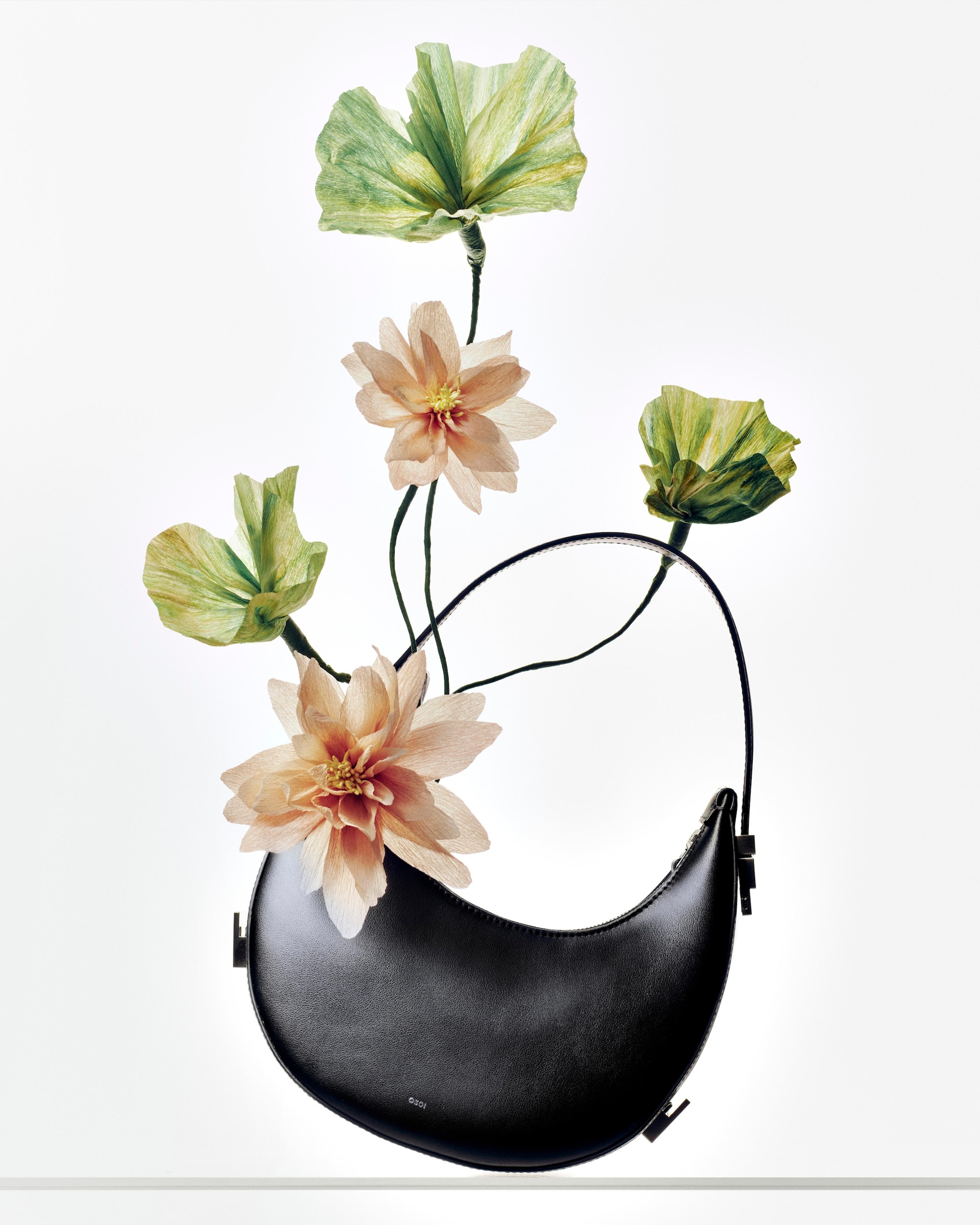 Image from Benjamin Vigliotta