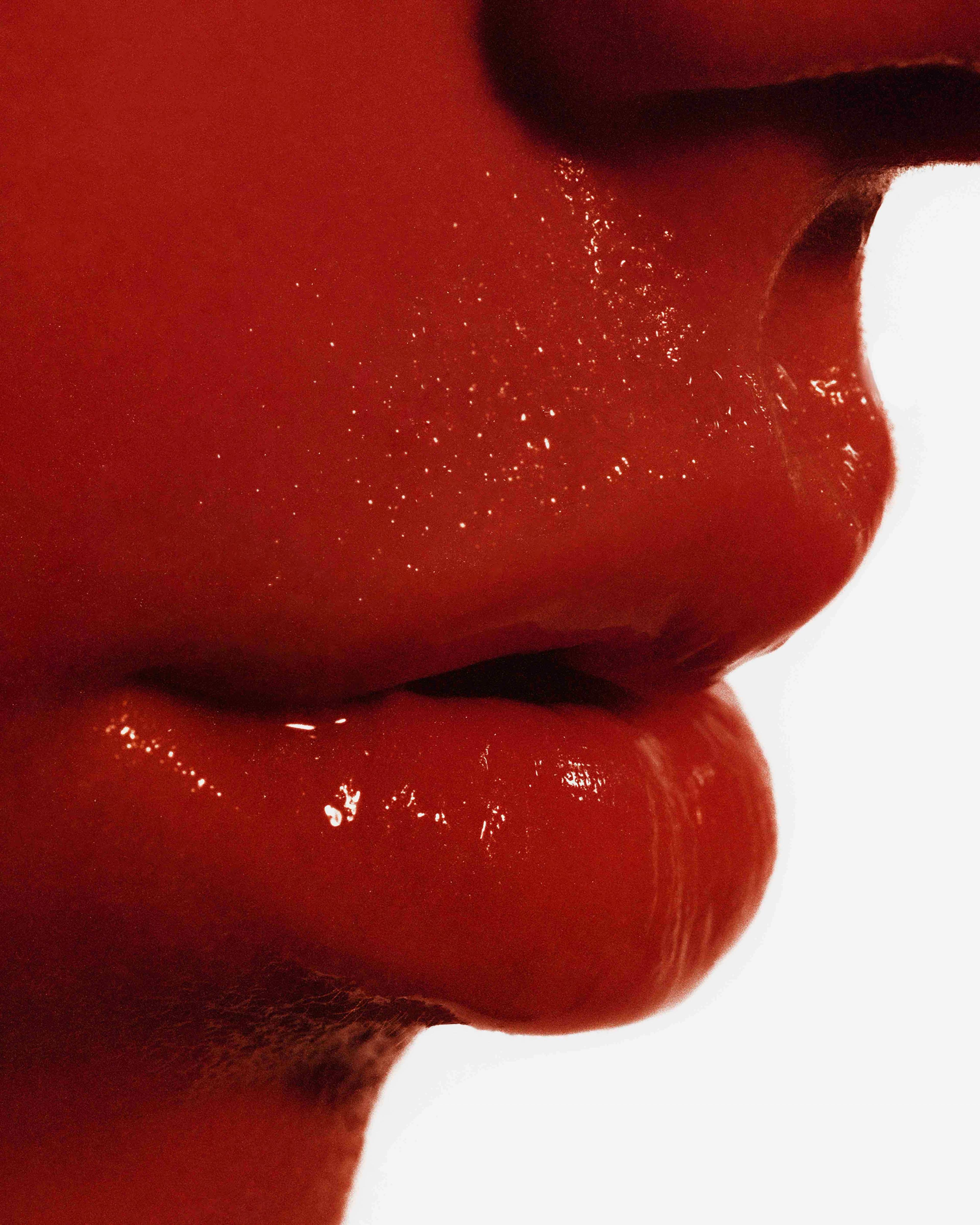 Image 2 of 5 from Jasmina Martiradonna