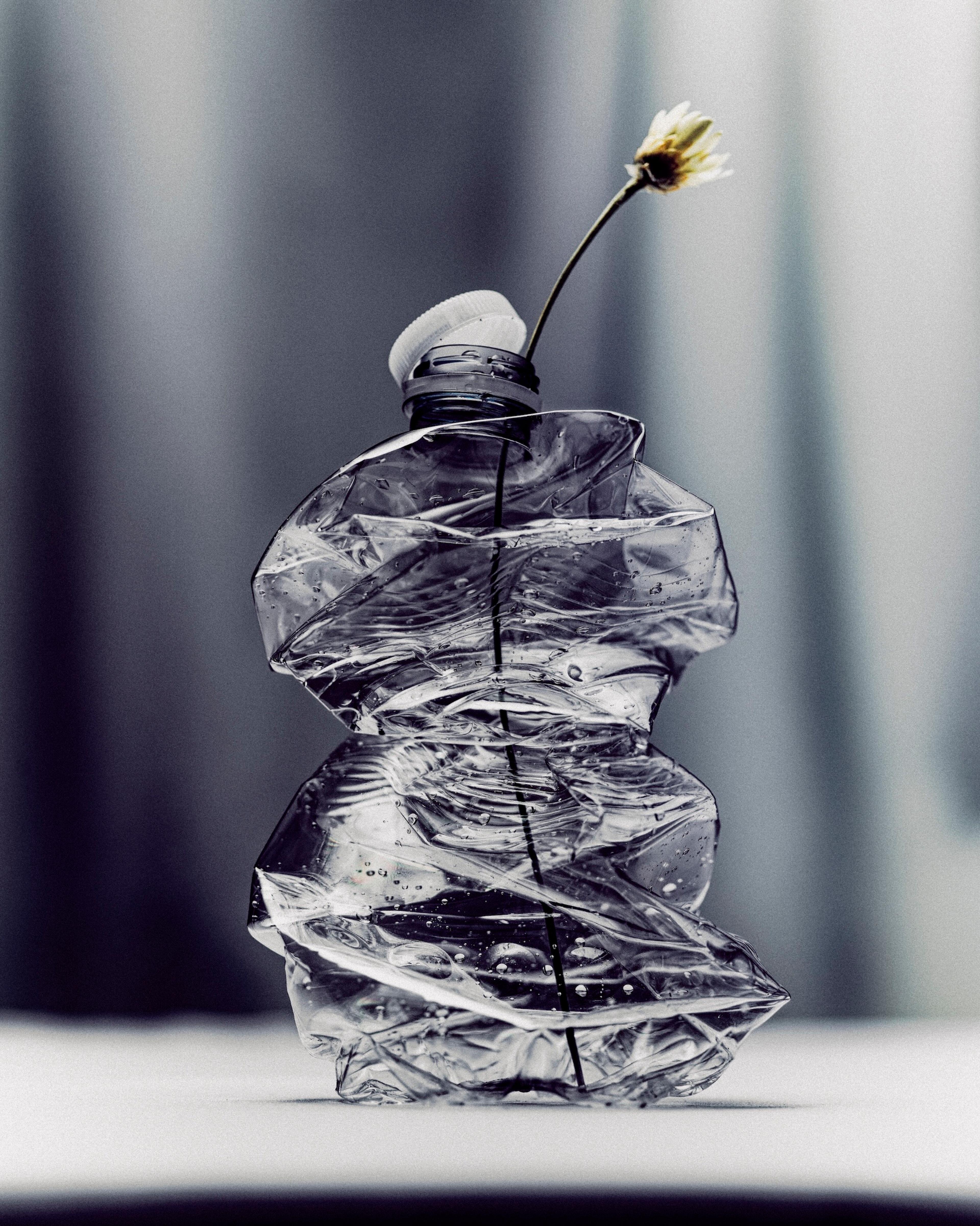 Image 3 of 3 from Benjamin Vigliotta