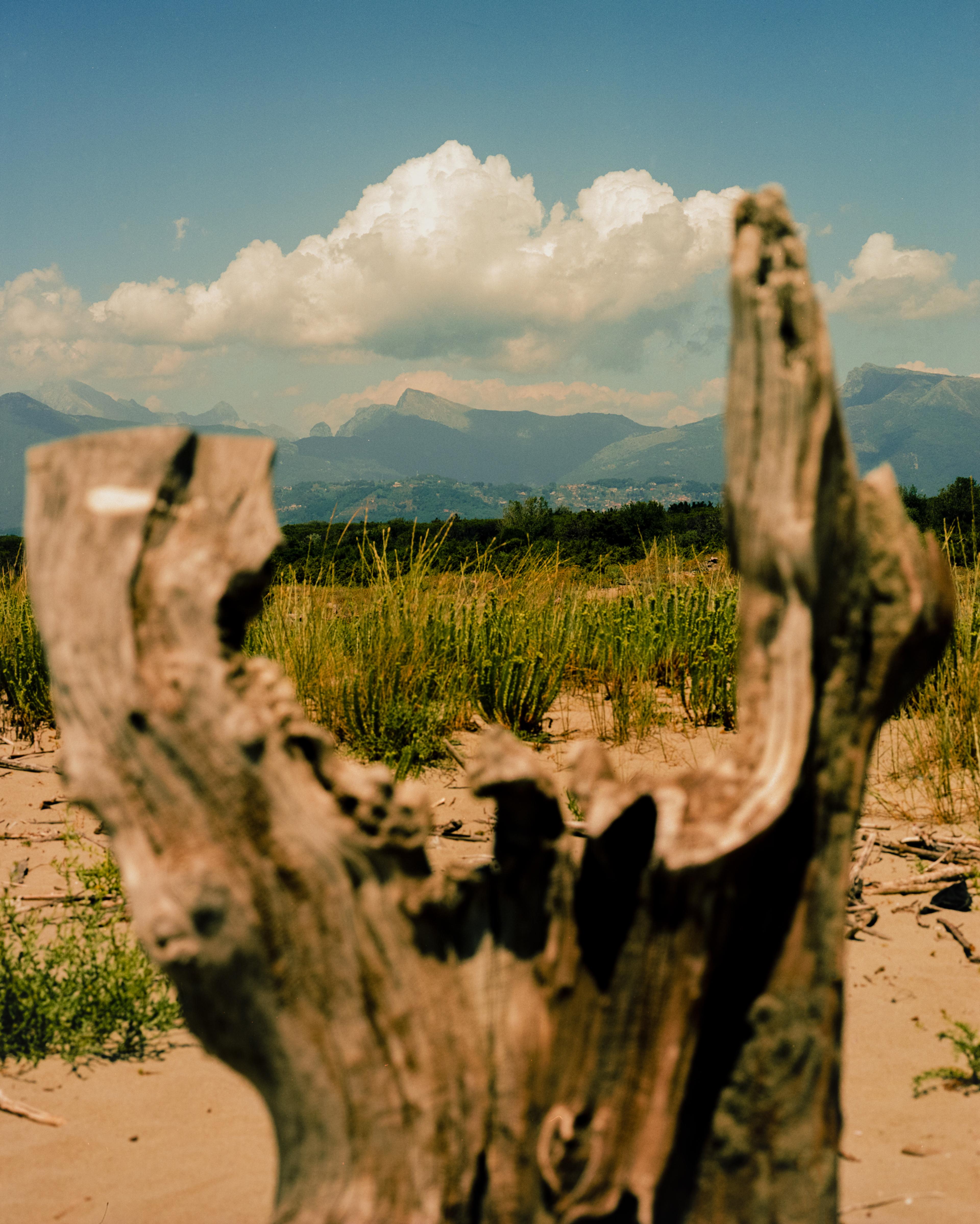 Image 4 of 4 from  