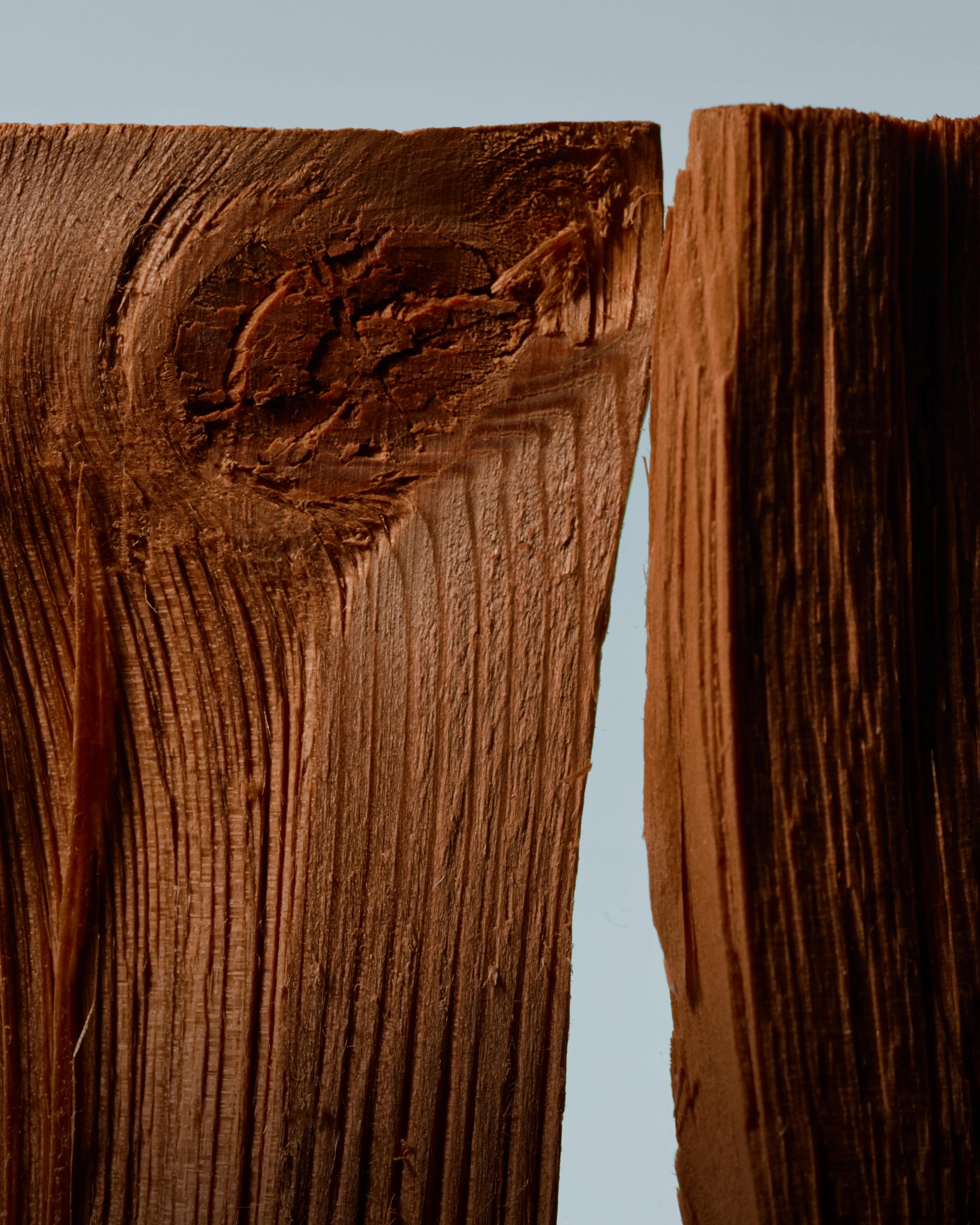 Image 4 of 5 from Anders Kylberg