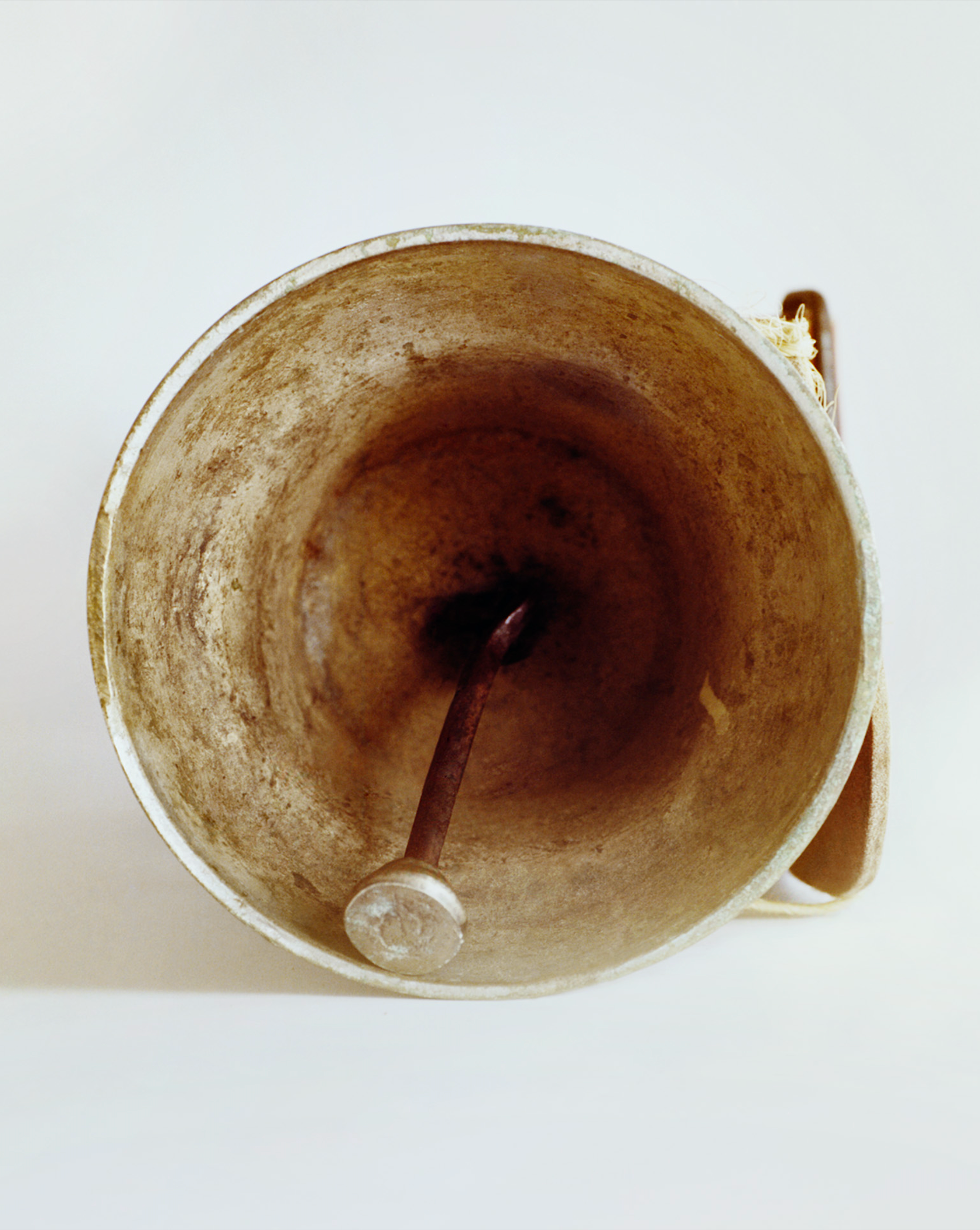 Image 3 of 4 from Jasmina Martiradonna