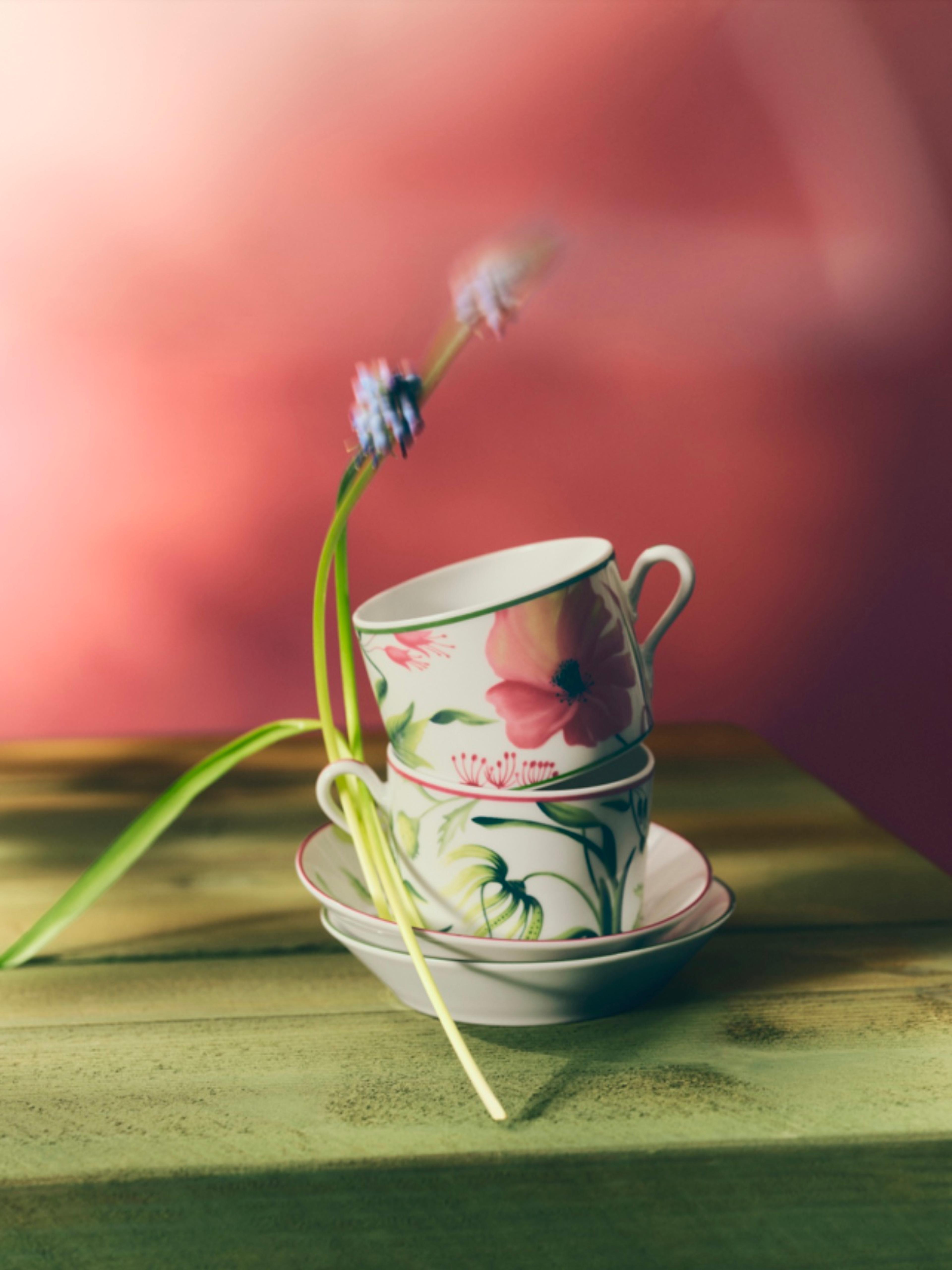 Image 4 of 4 from Stilema Studio