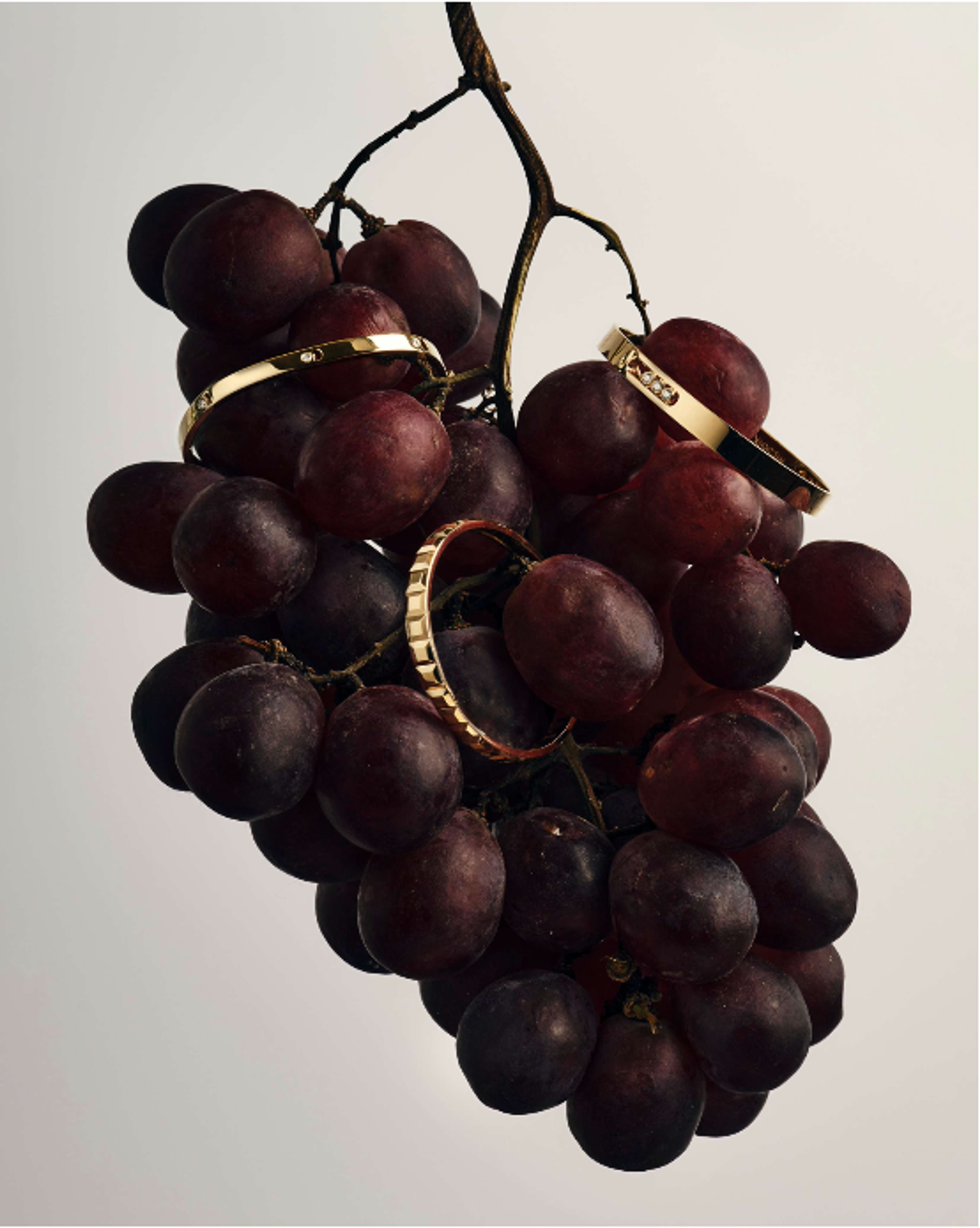 Image from Benjamin Vigliotta