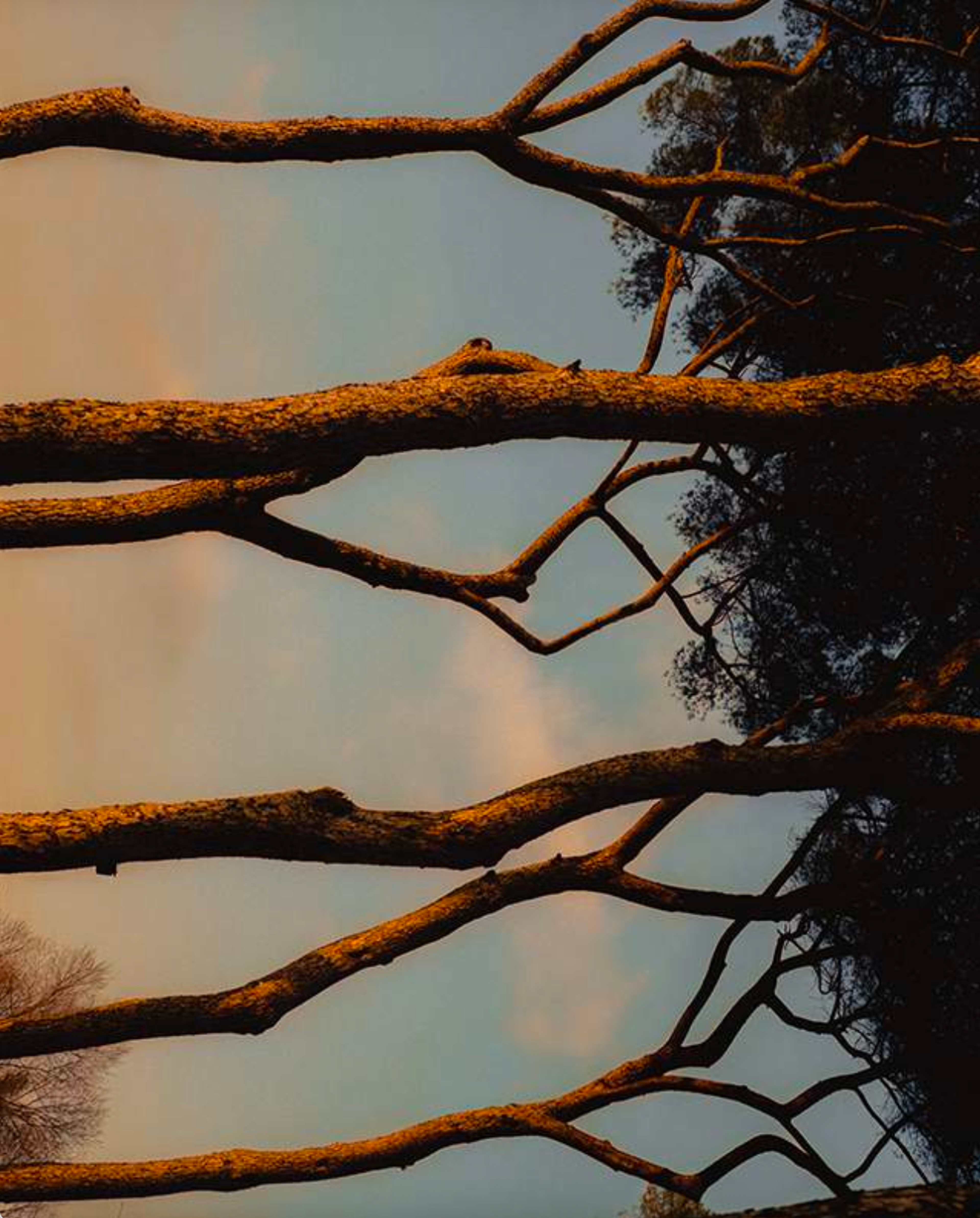 Image from Mattia Parodi