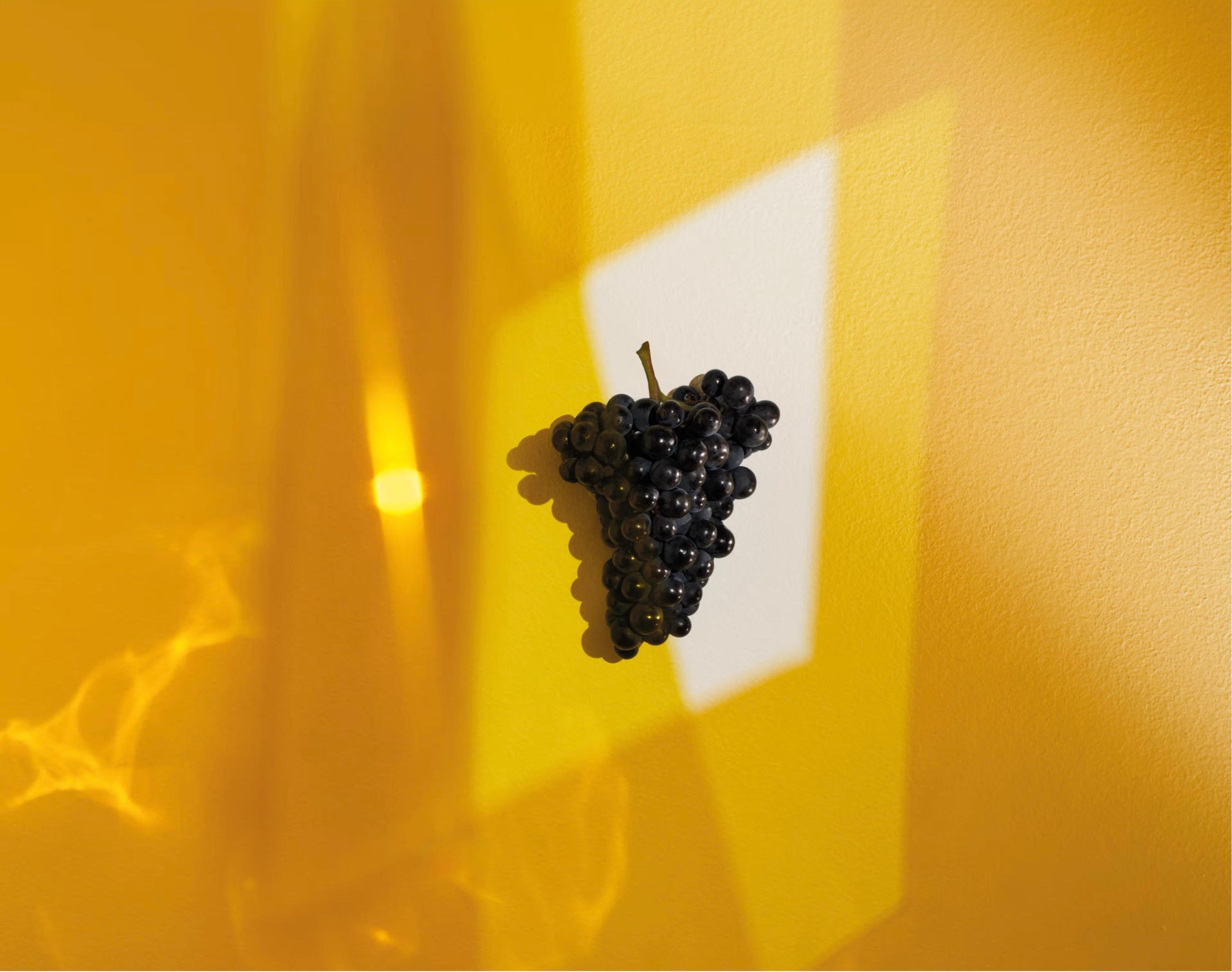 Image 1 of 4 from Stilema Studio