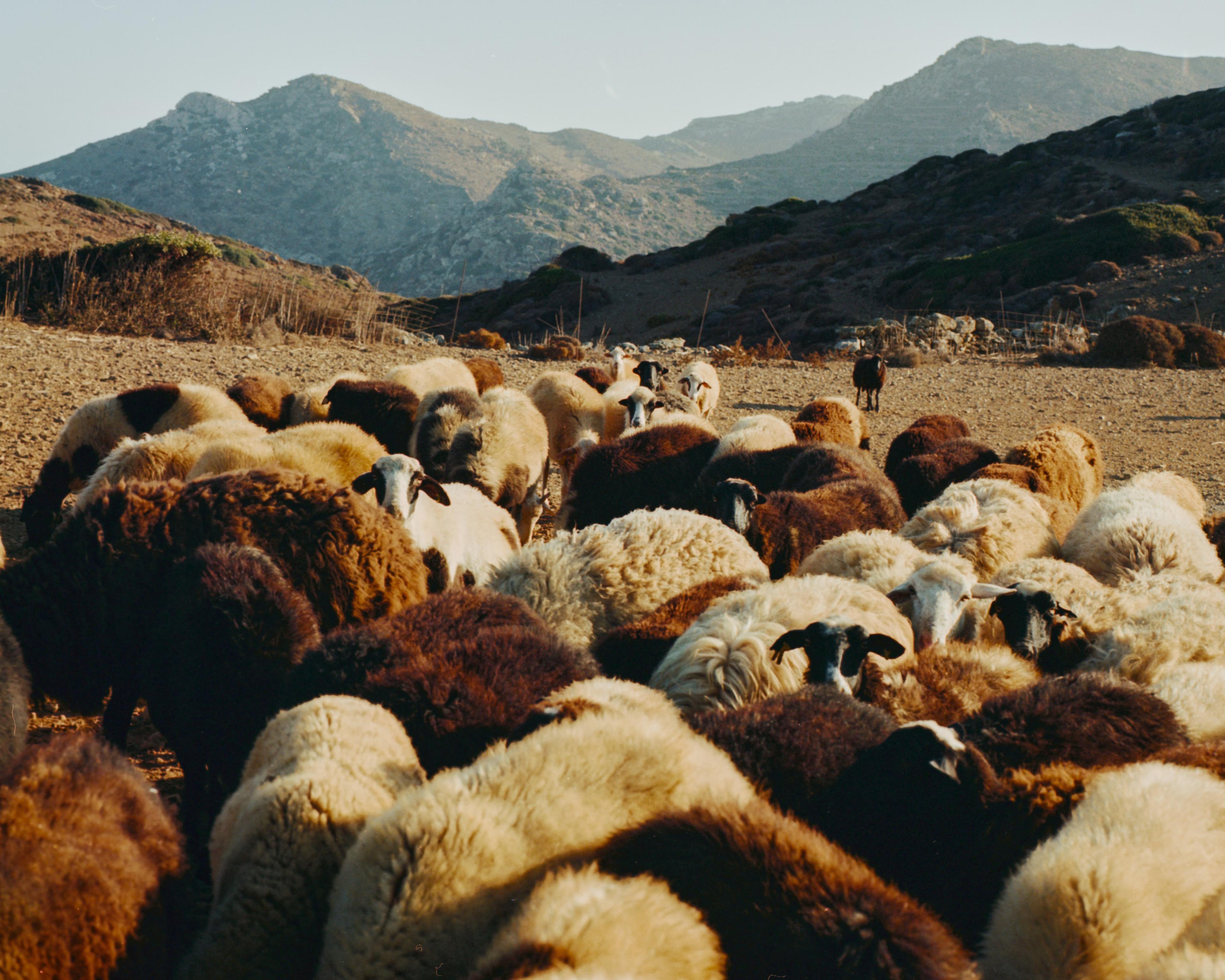 Image 2 of 2 from Amorgos