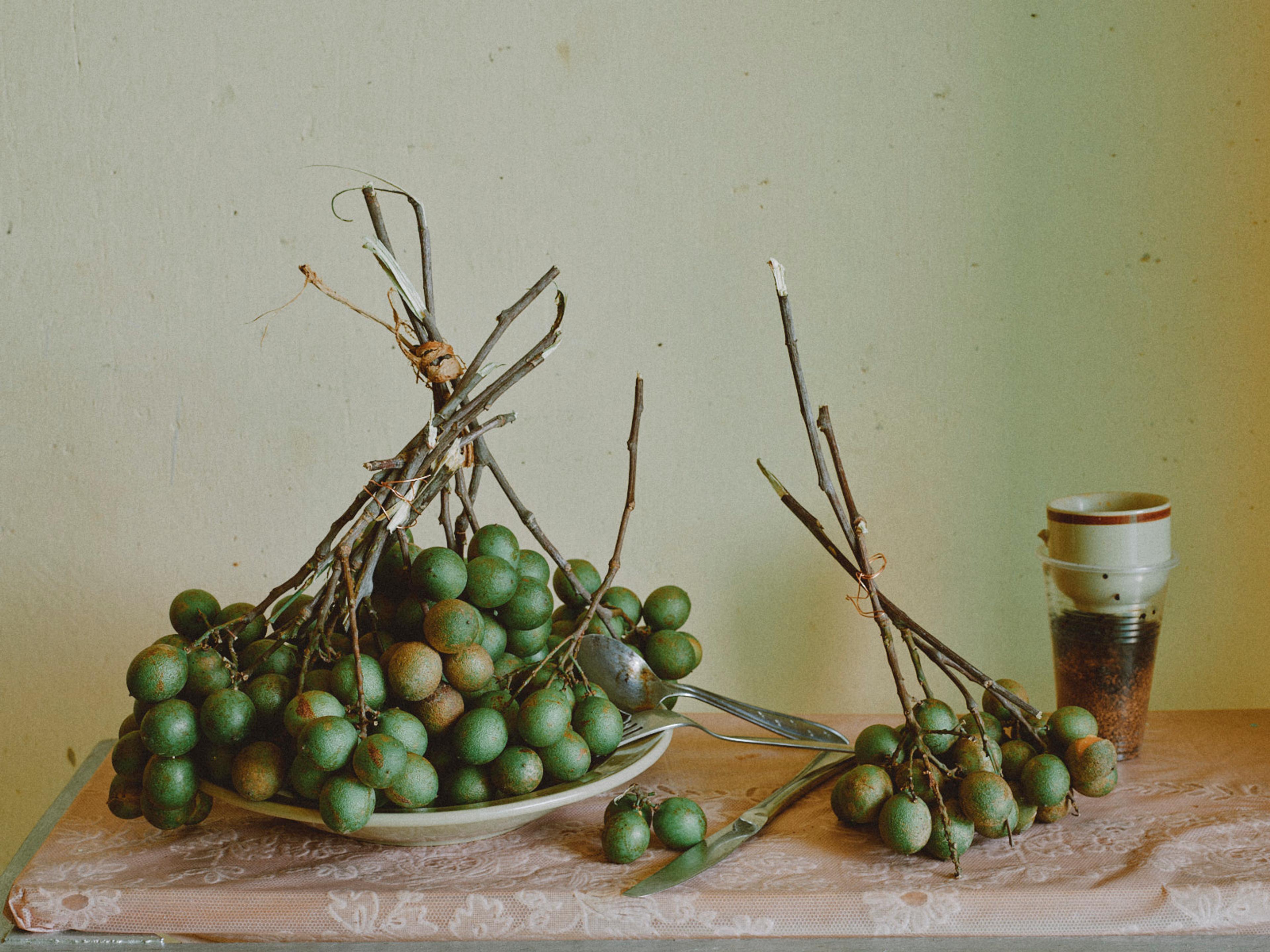 Image from Anoush Abrar