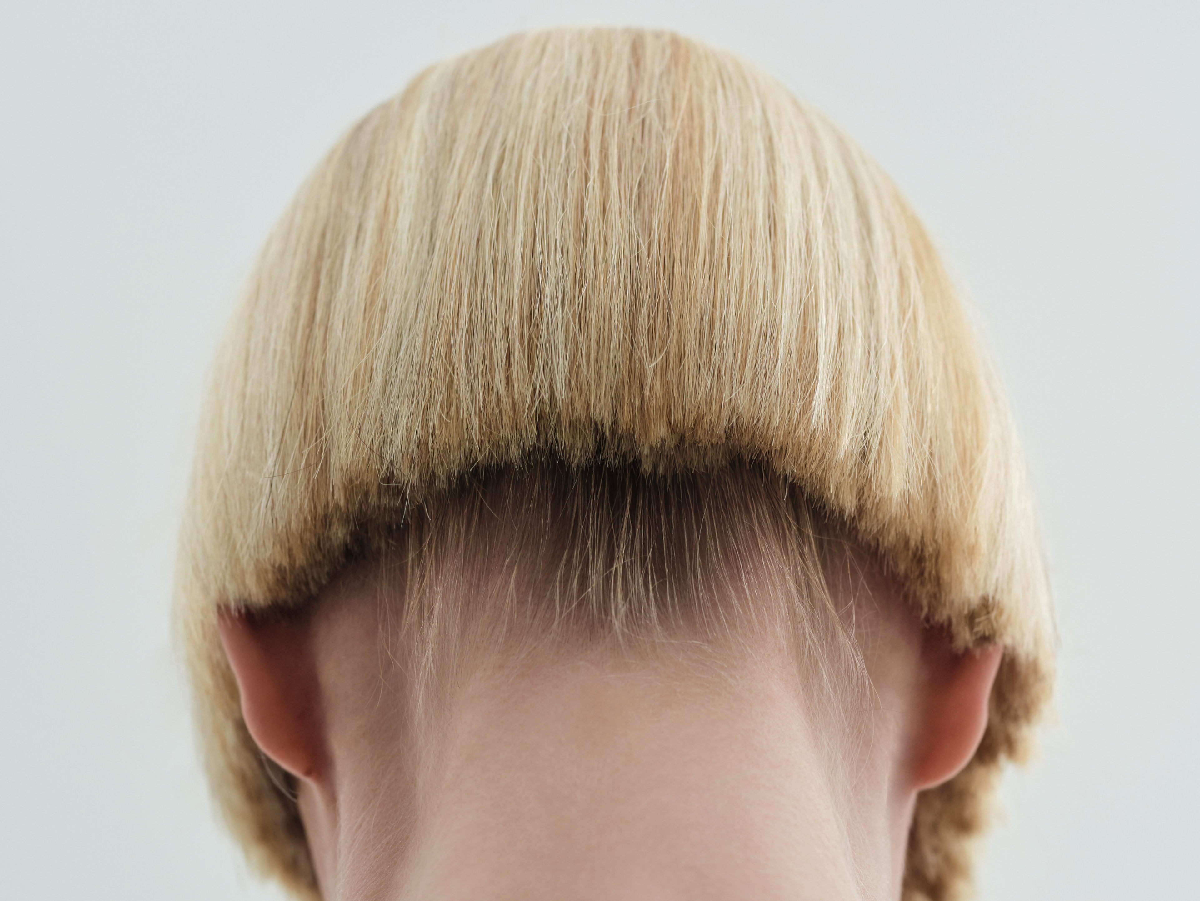 Image 2 of 4 from Alice Rosati