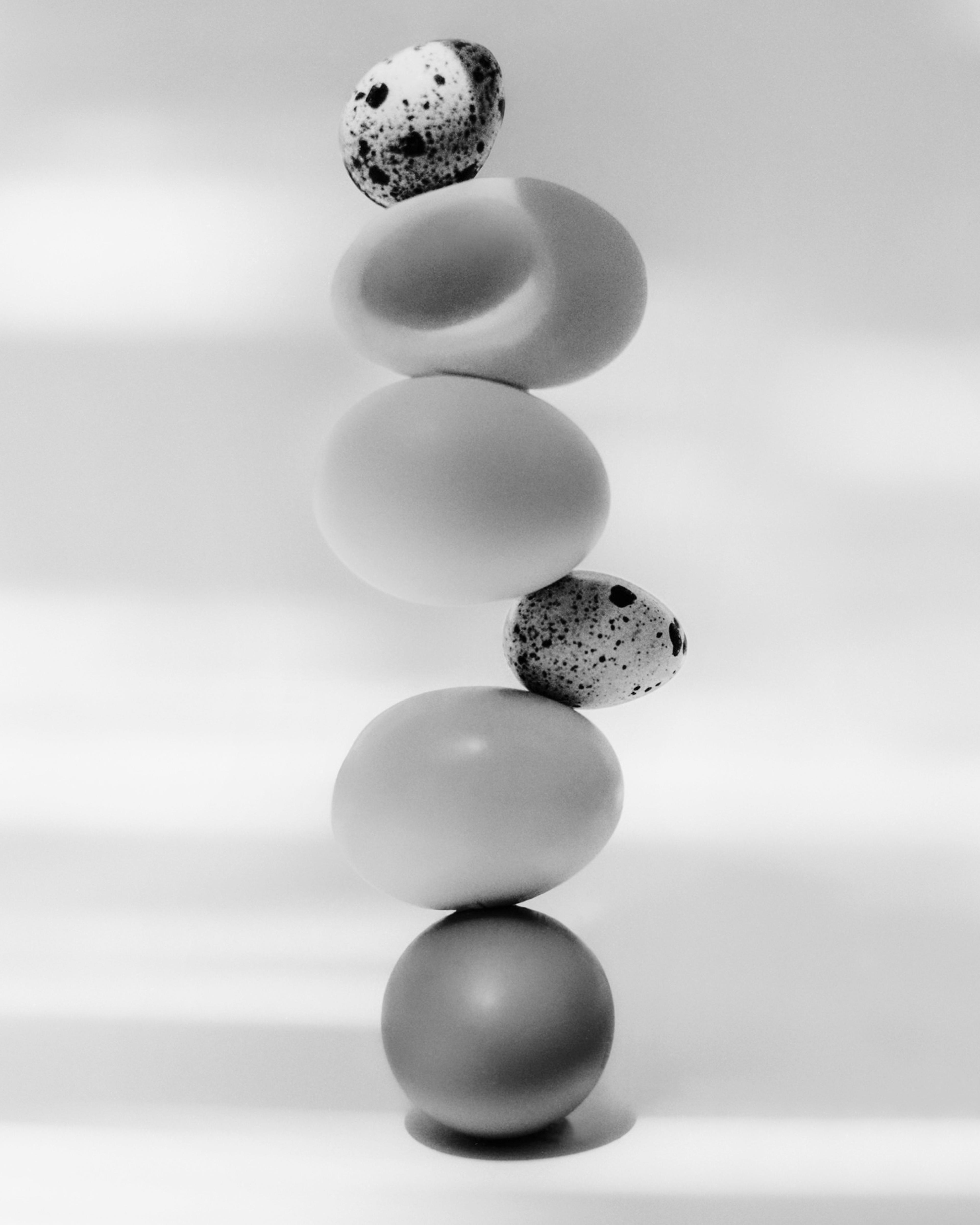 Image from Jasmina Martiradonna