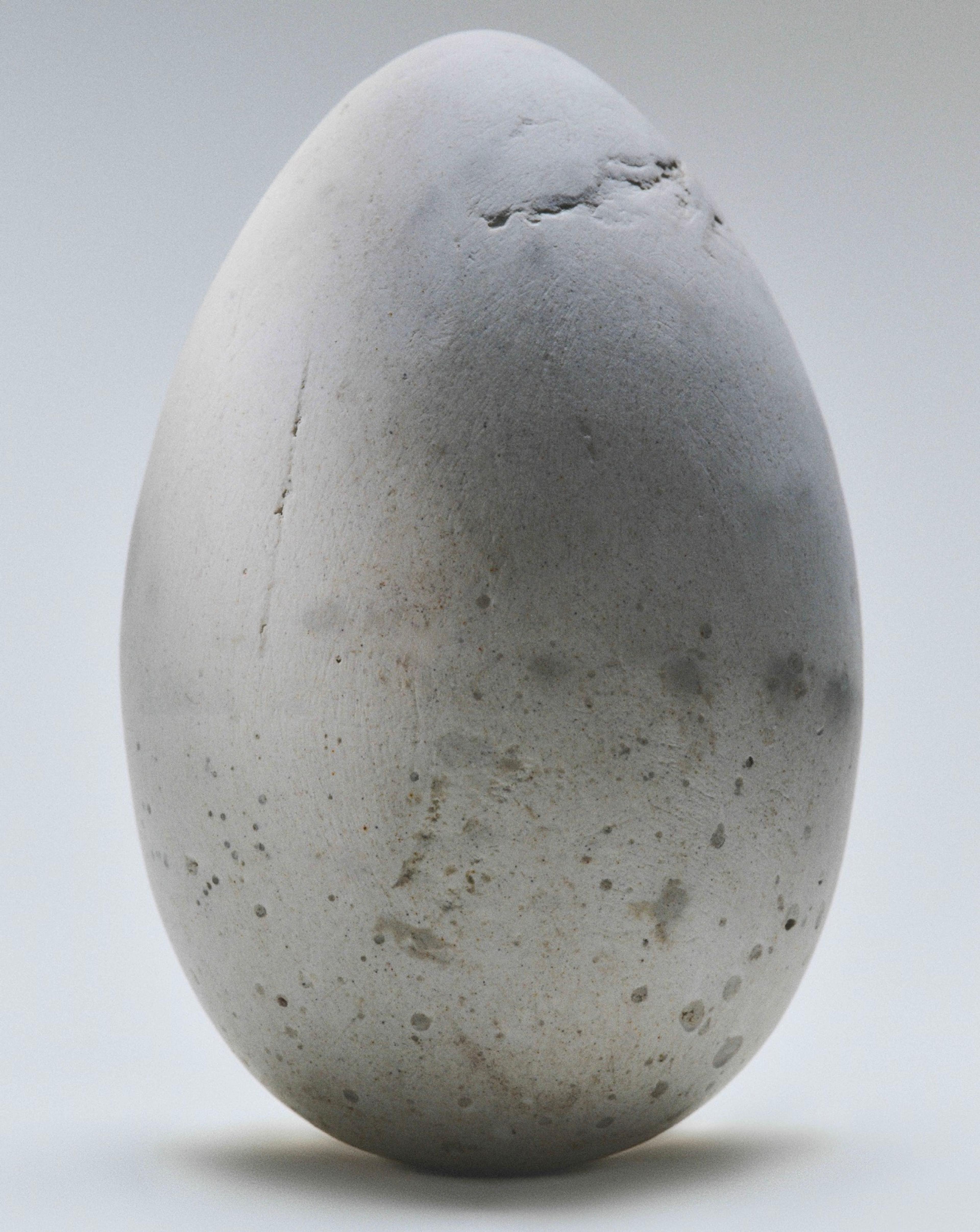 Image 4 of 5 from Stilema Studio