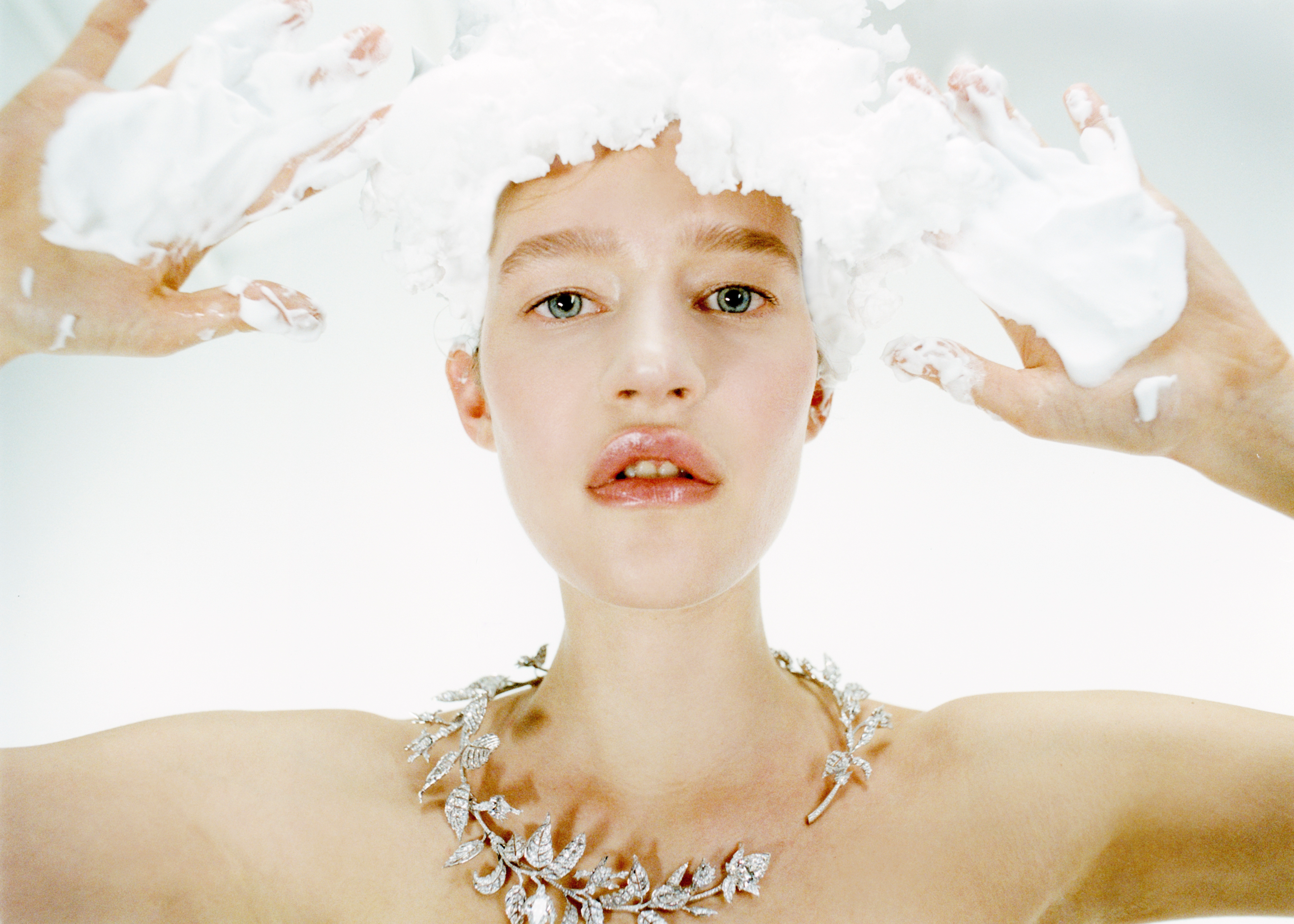 Image from Antonio Dicorato