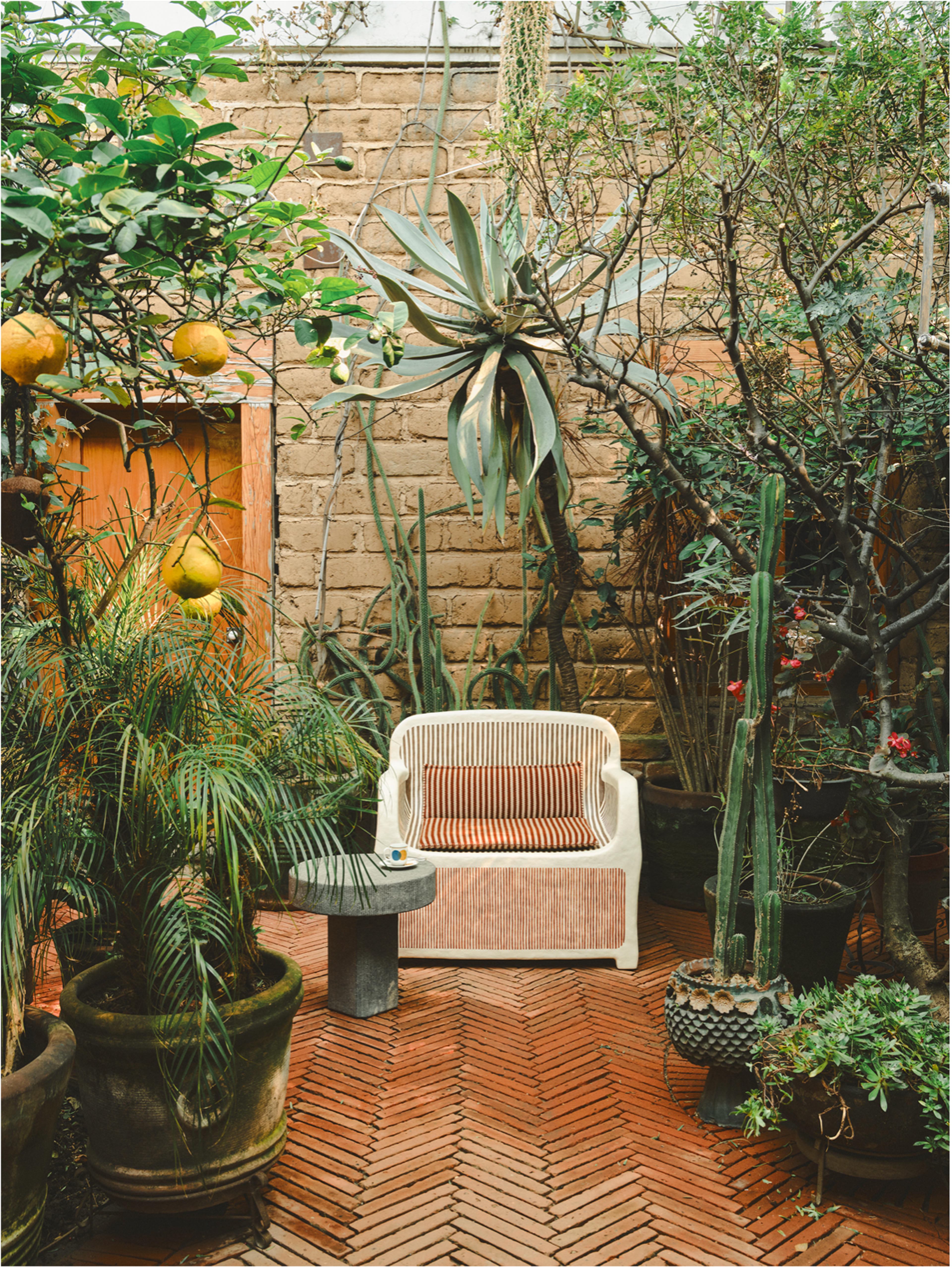 Image from Sauvage & Sauvage