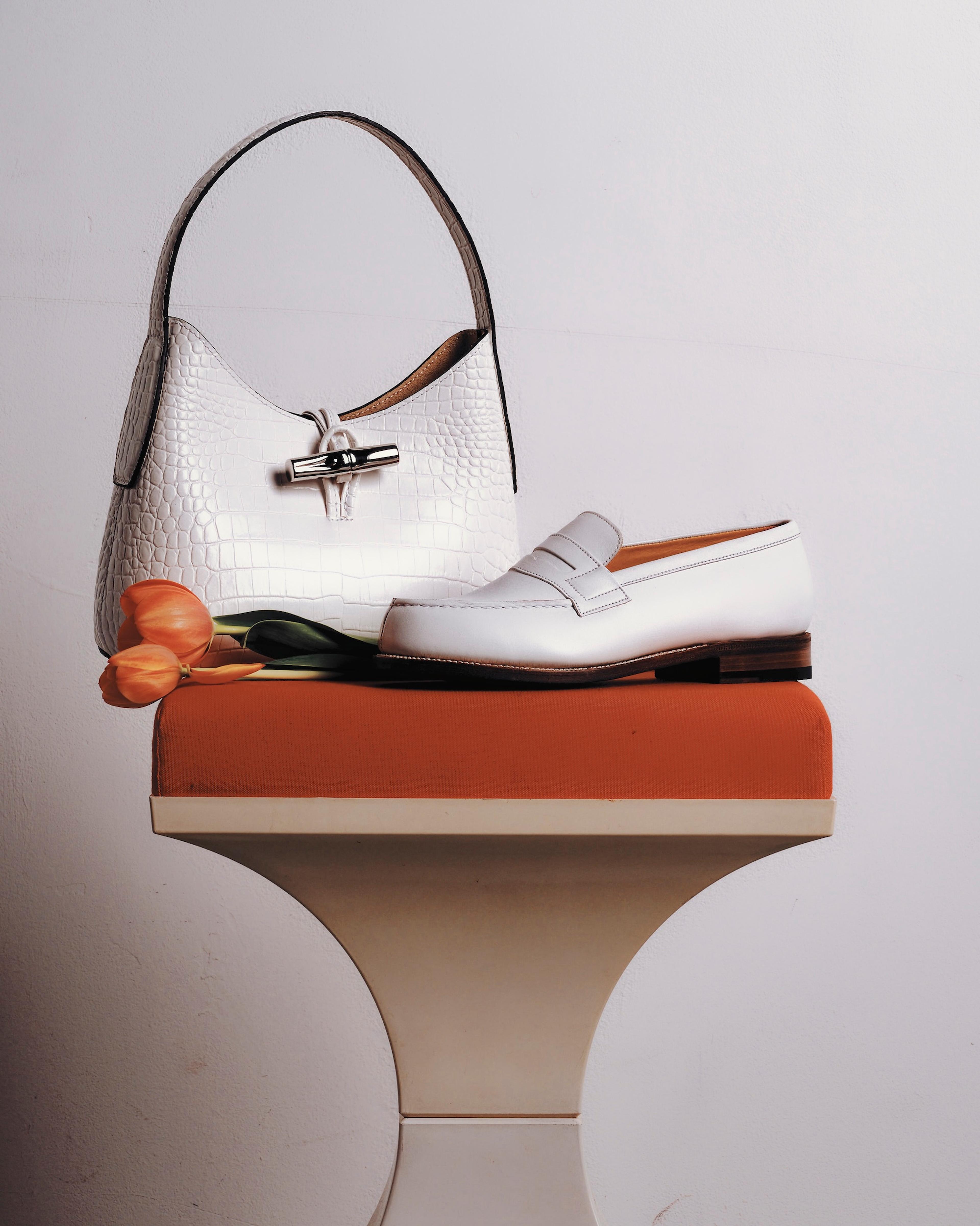 Image from Benjamin Vigliotta