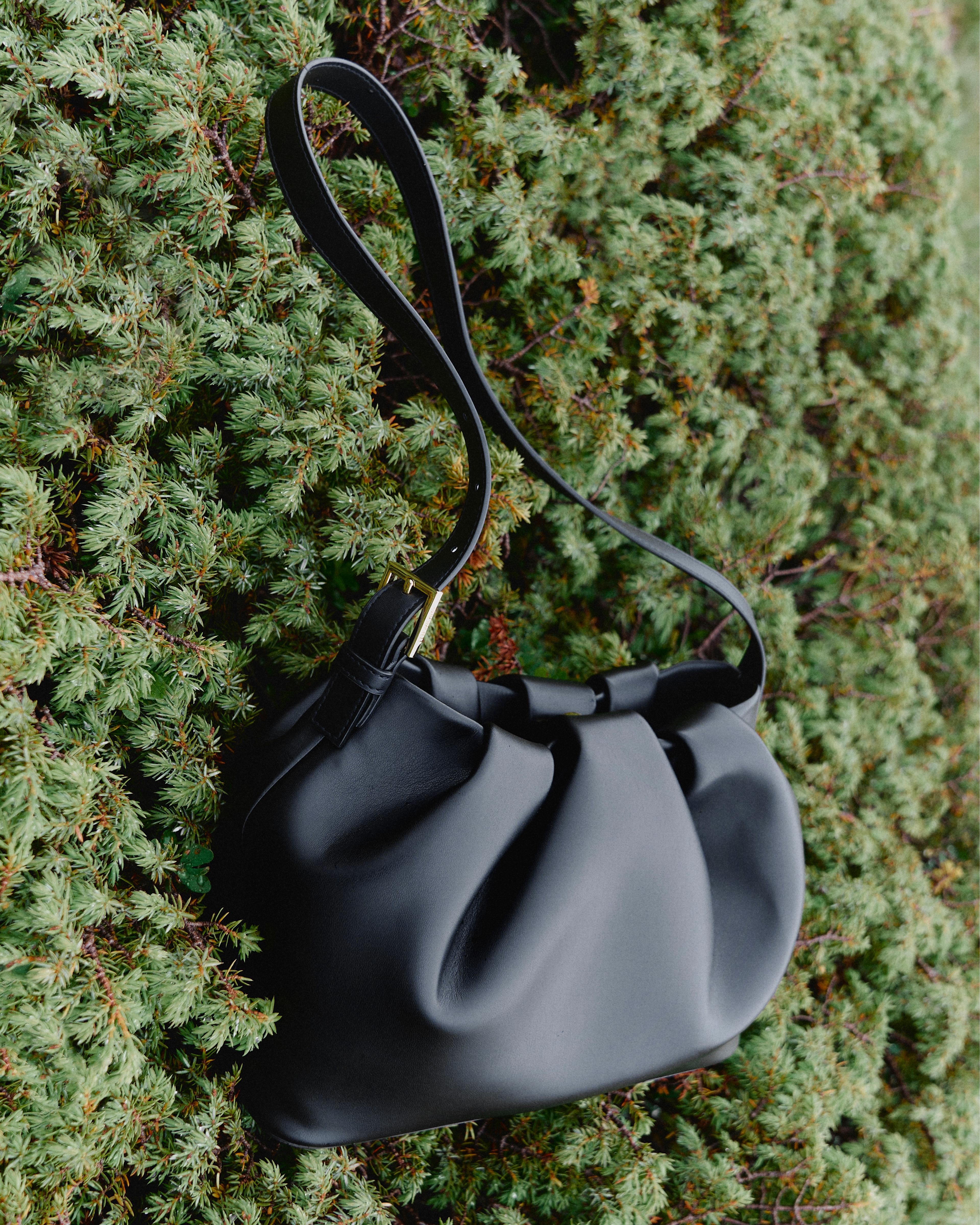 Image from Jasmina Martiradonna