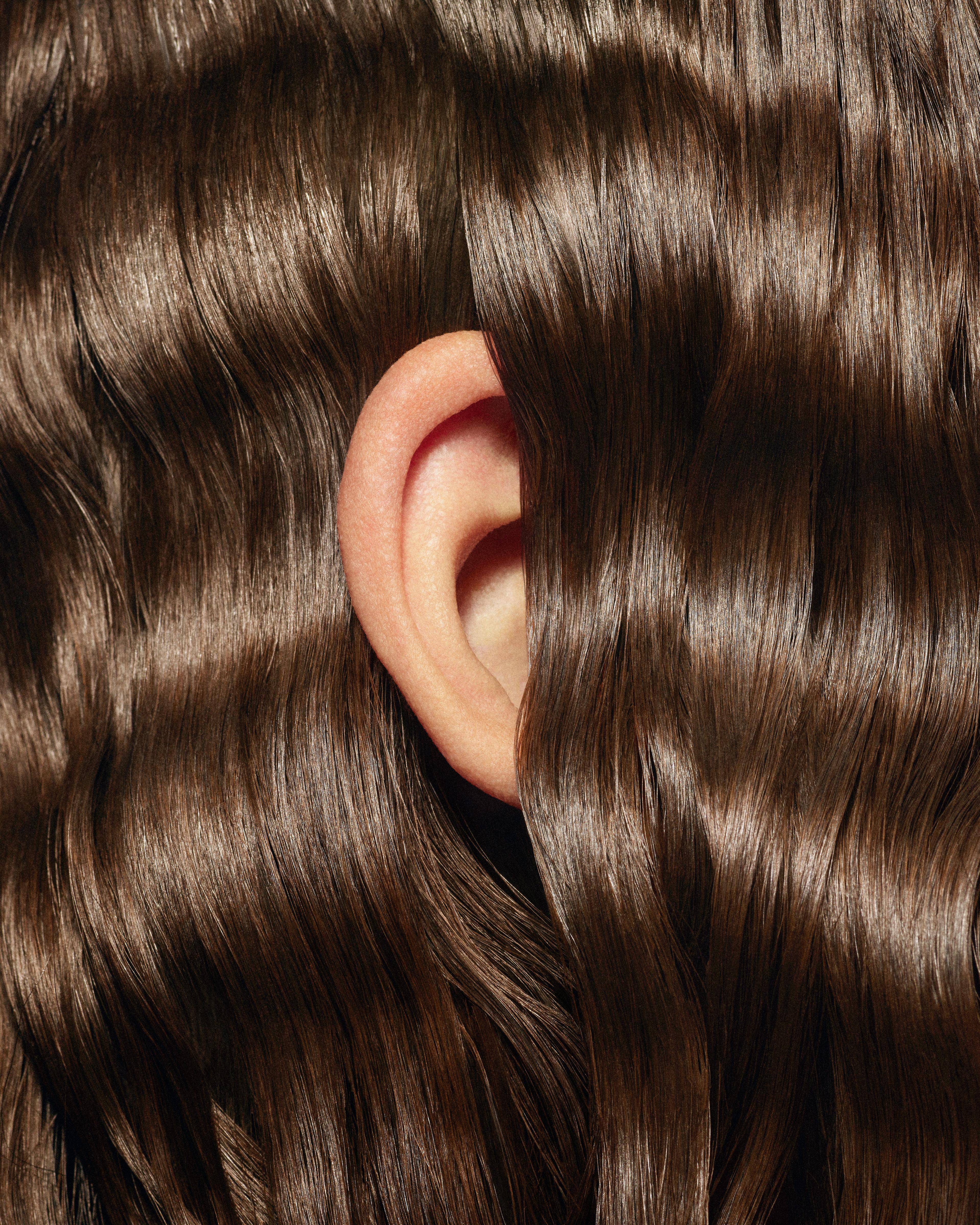 Image 3 of 4 from Anders Kylberg