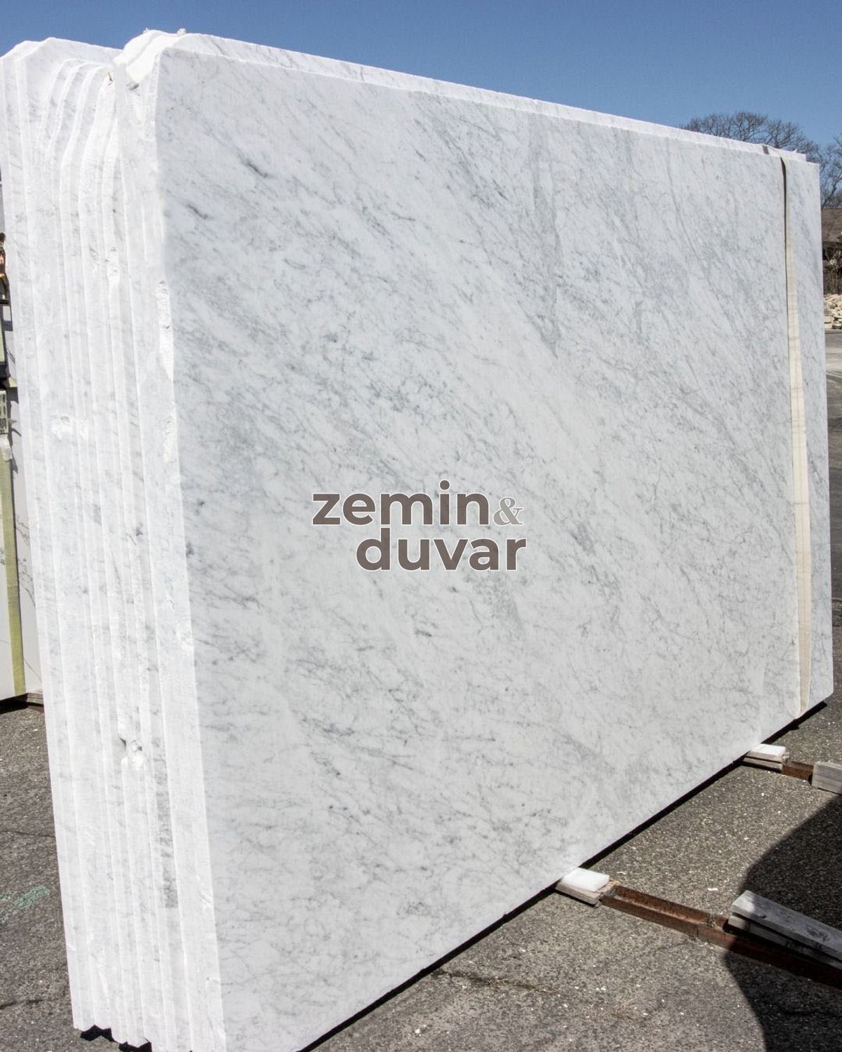 Carrara 3