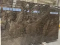 Narcisse plaka görünümü
