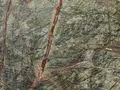 Rain Forest yeşil zeminde kızıl kahve damarlı doğal taş doku yakın plan