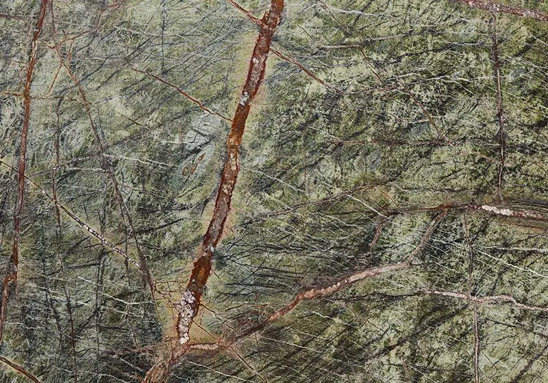 Rain Forest yeşil zeminde kızıl kahve damarlı doğal taş doku yakın plan