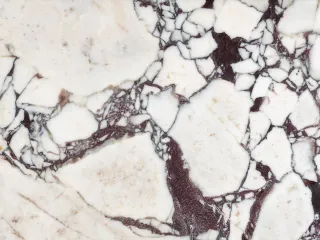 Calacatta Viola