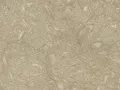 Rustik Yeşil fosil desenli doku ikinci açı