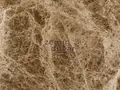 Medium Emparador 3