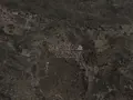 Narcisse 2