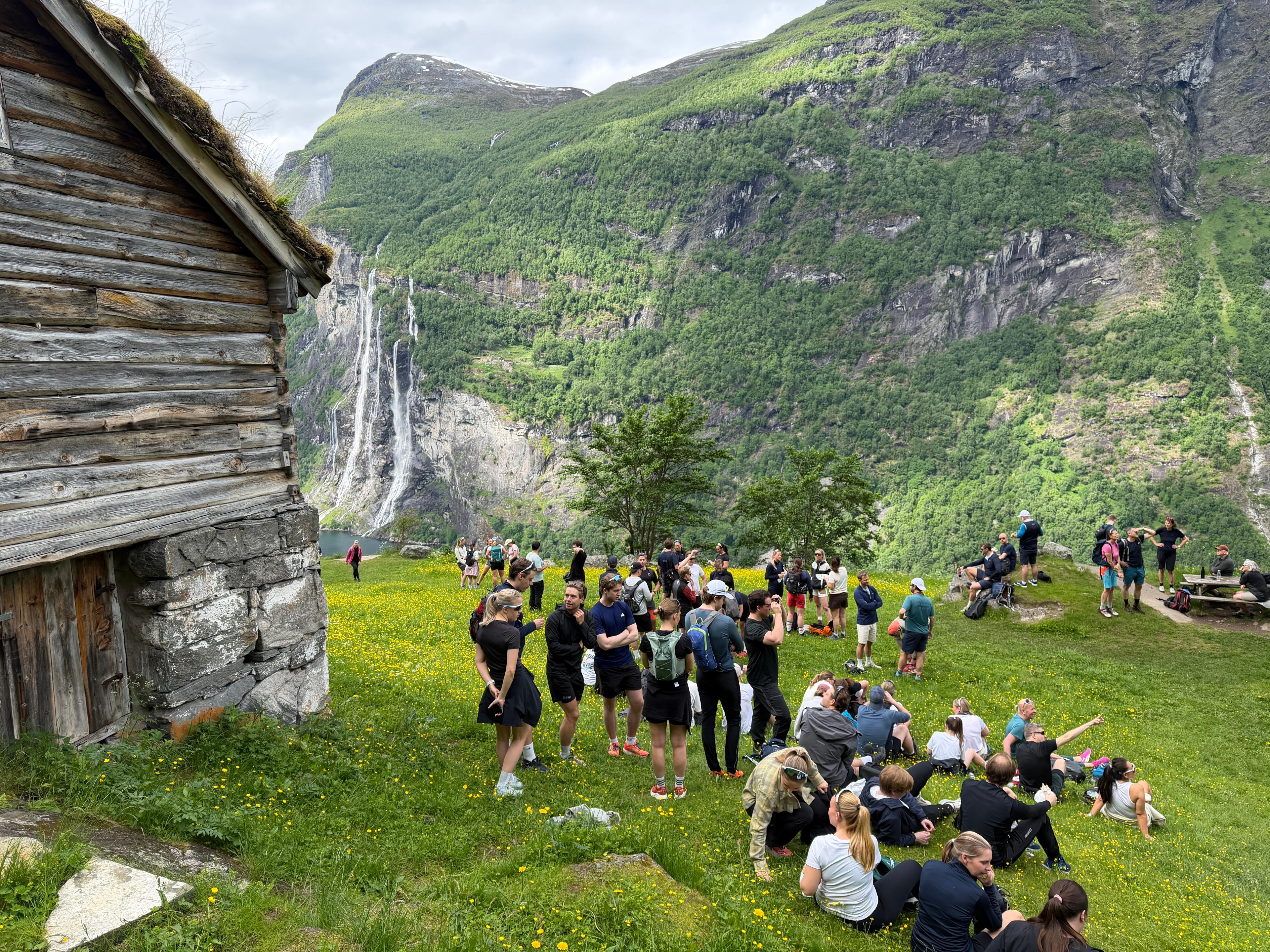 Skageflå
