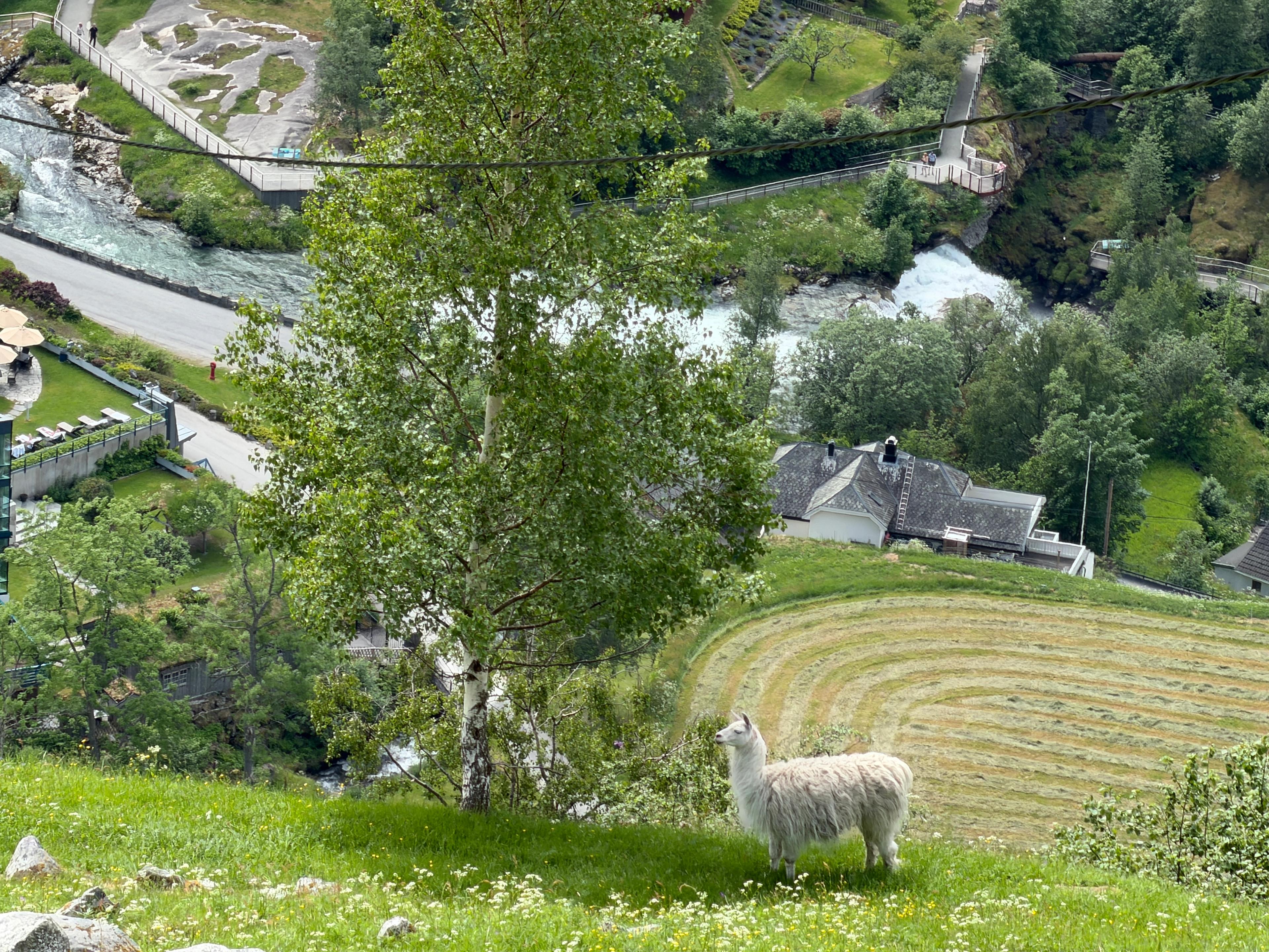 Westerås Farm