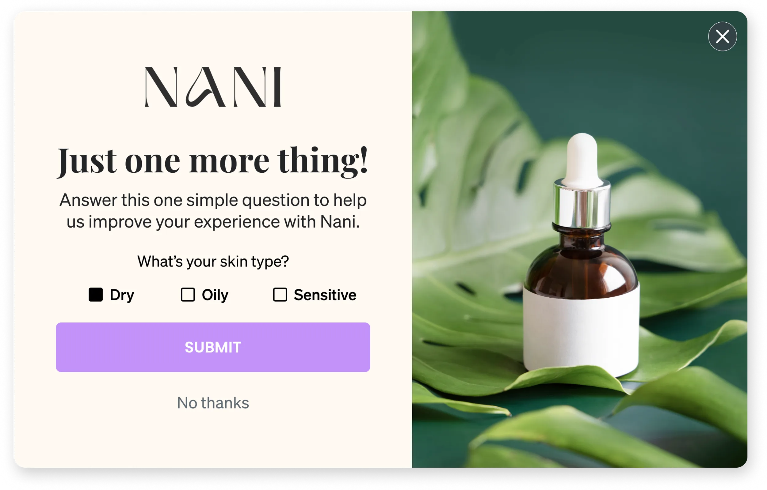 Nani sign-up form asking shoppers to answer the question 'What's your skin type?' by selecting Dry, Oily or Sensitive.