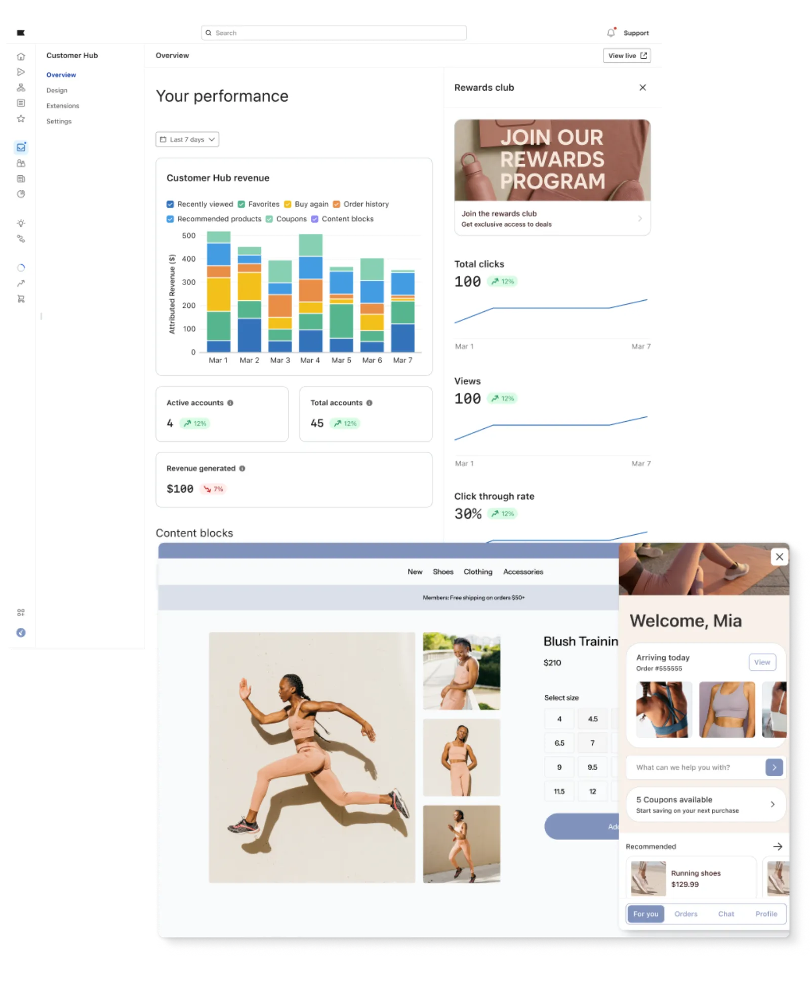 Customer Hub in Klaviyo, showing both reporting and on-site functionality
