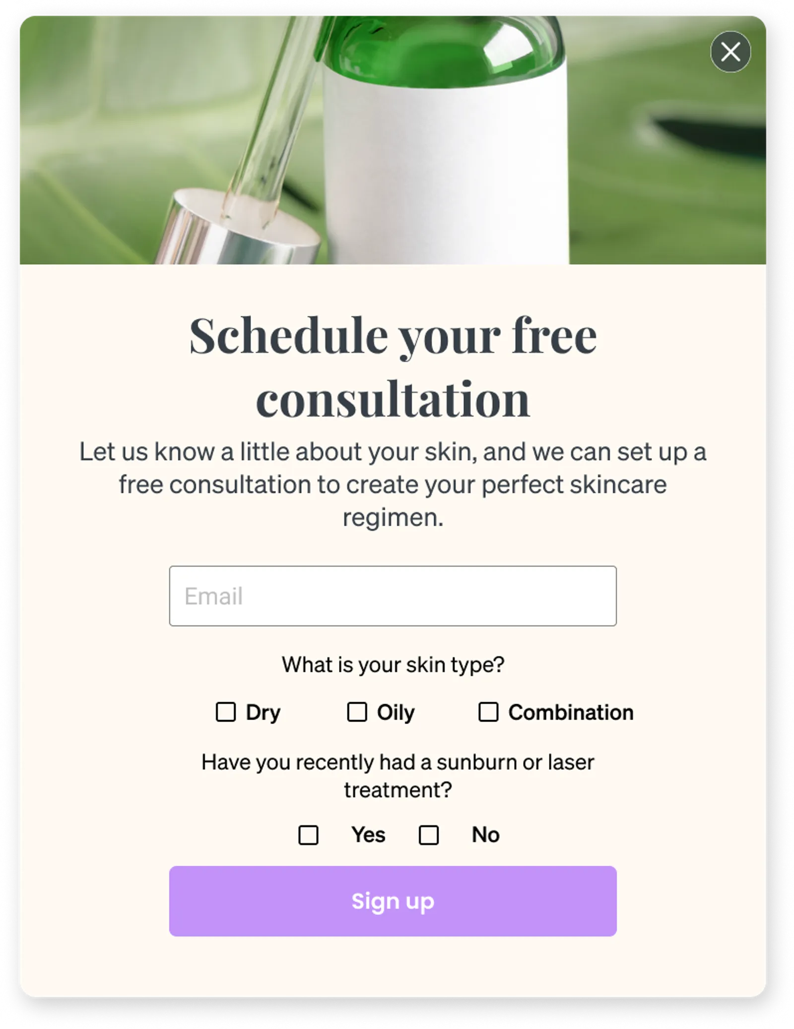 Consultation form asking informative and qualifying questions