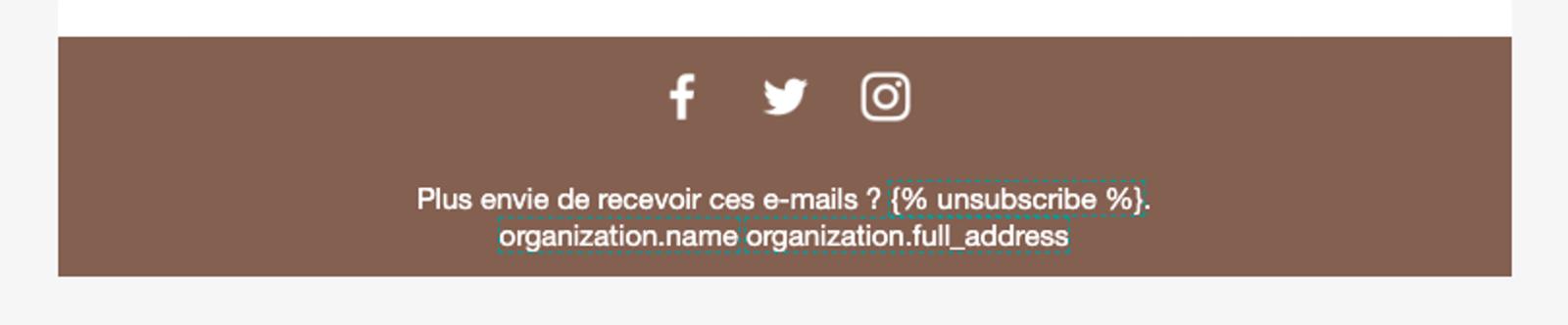 Pied de page avec les logos des réseaux sociaux de la marque Beantown