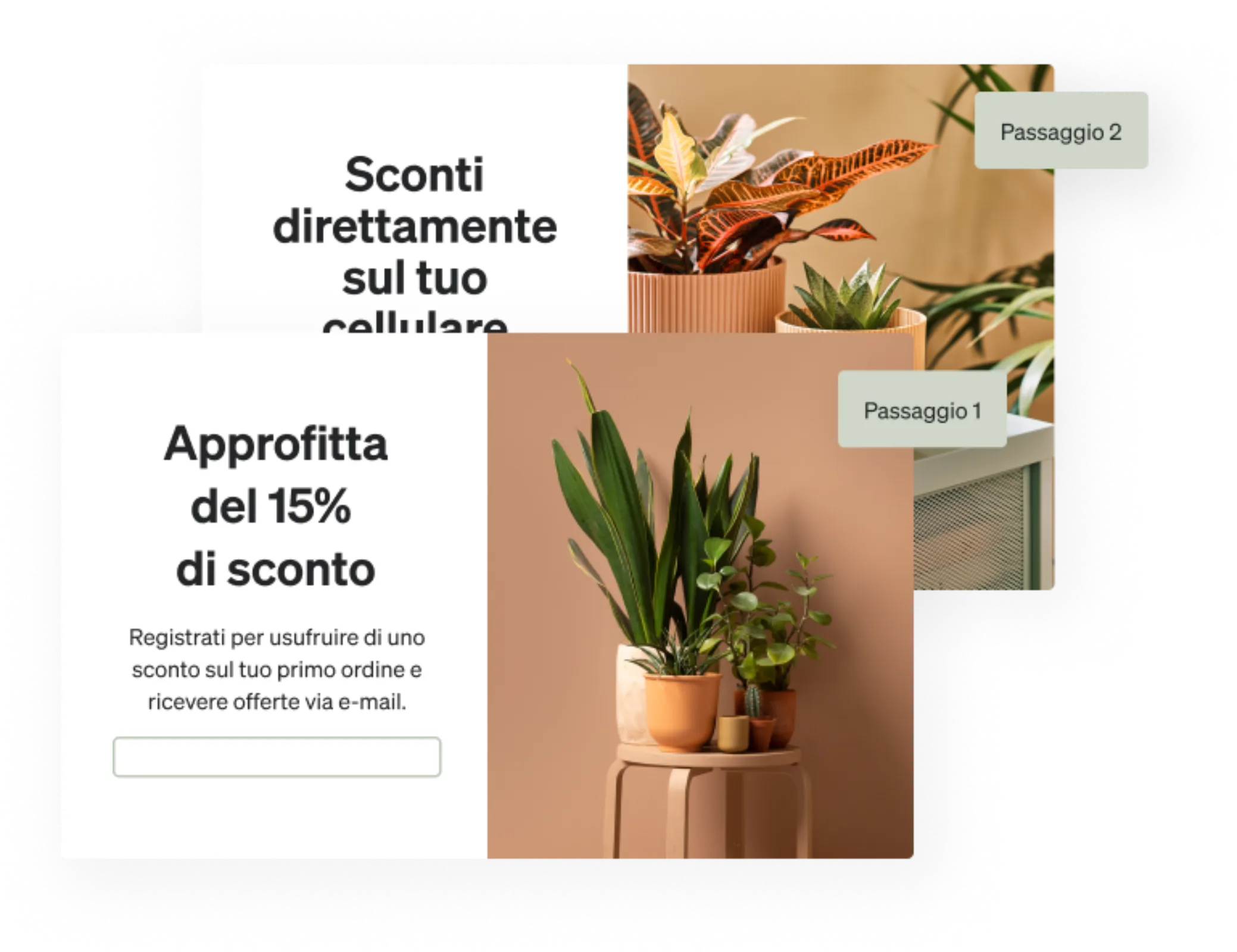 An example of a multi-step form, collecting email and SMS consent.