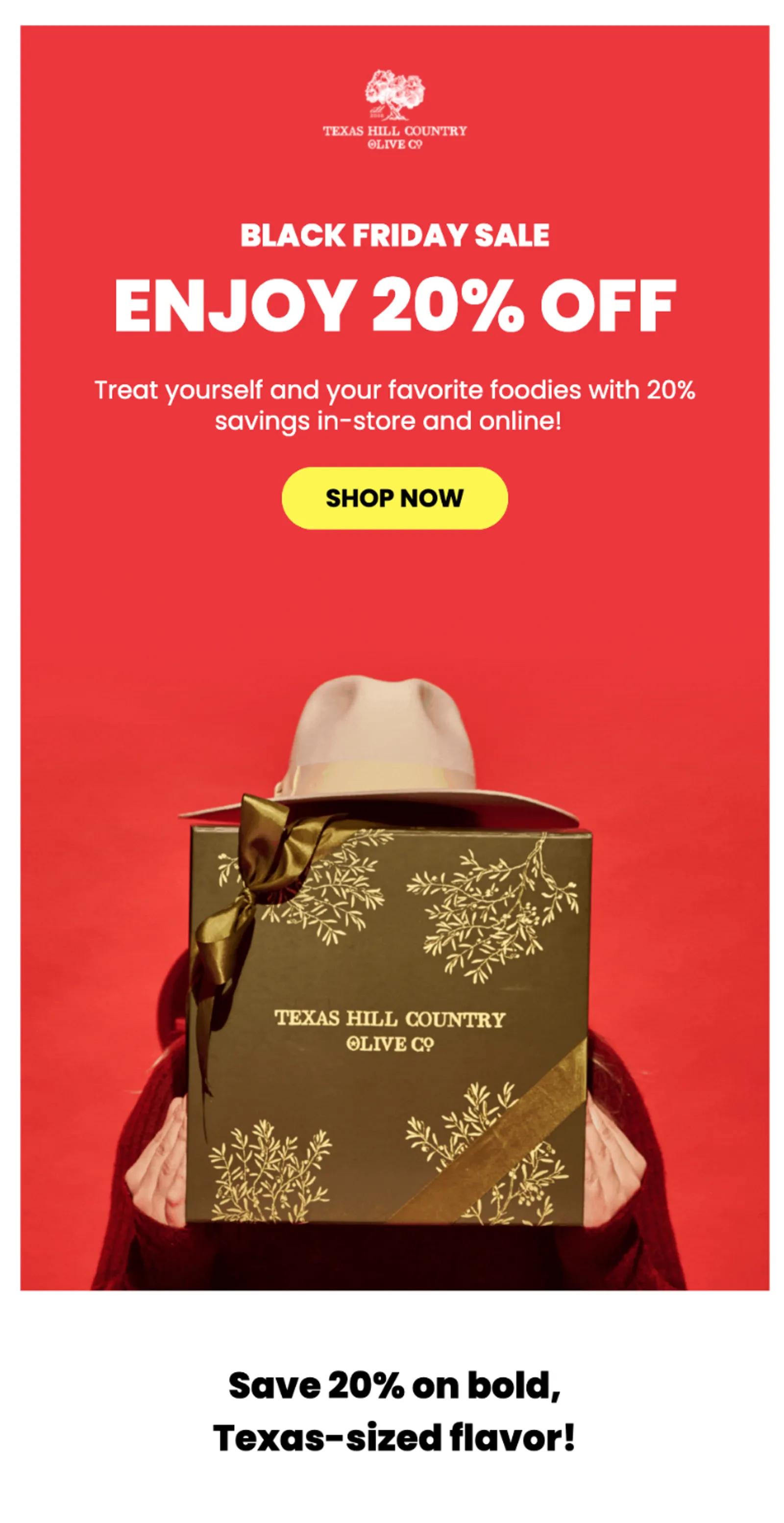 Colorful email with logo and images designed in Canva