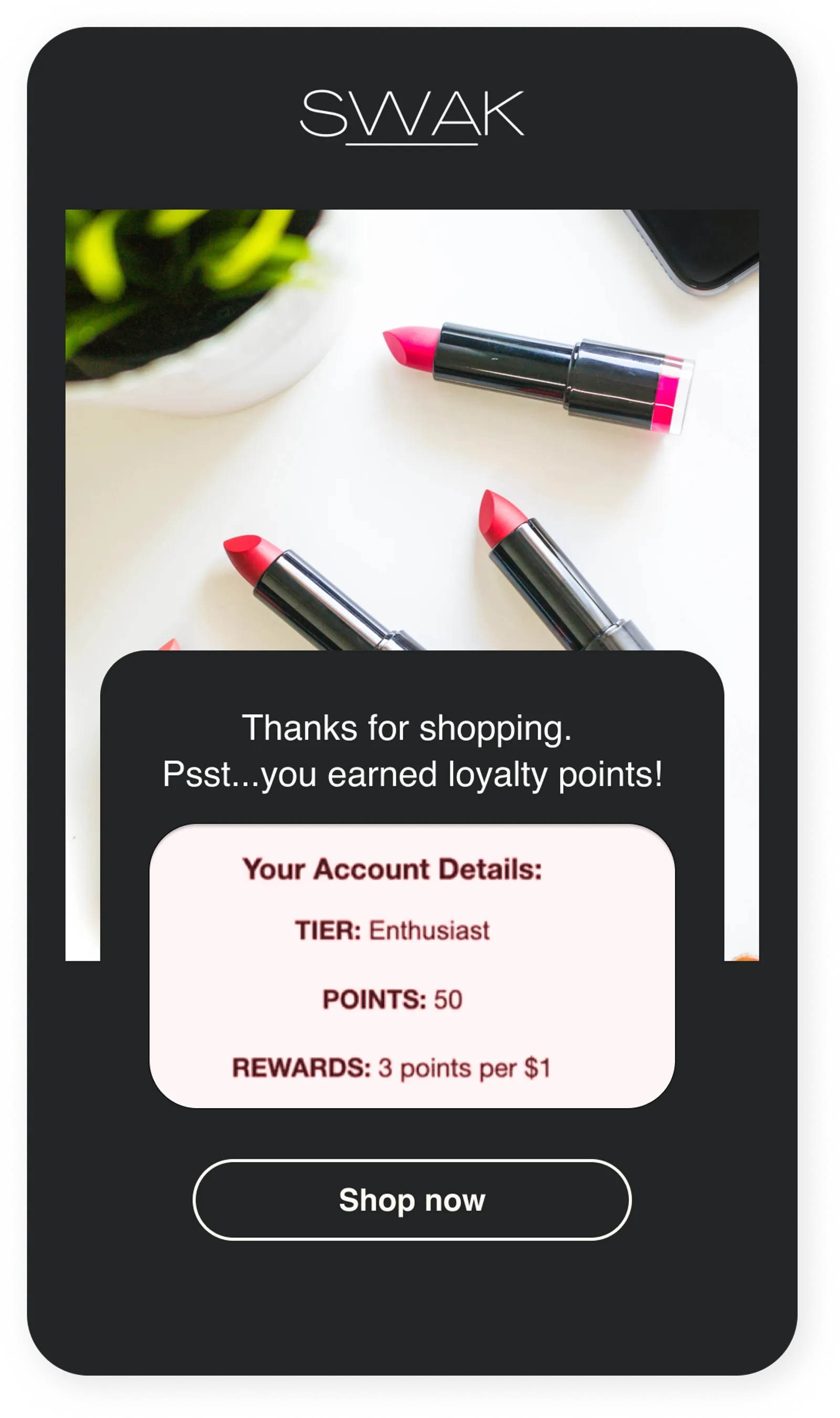 SWAK email showing the number of loyalty points someone has and their tier status as a loyalty member.