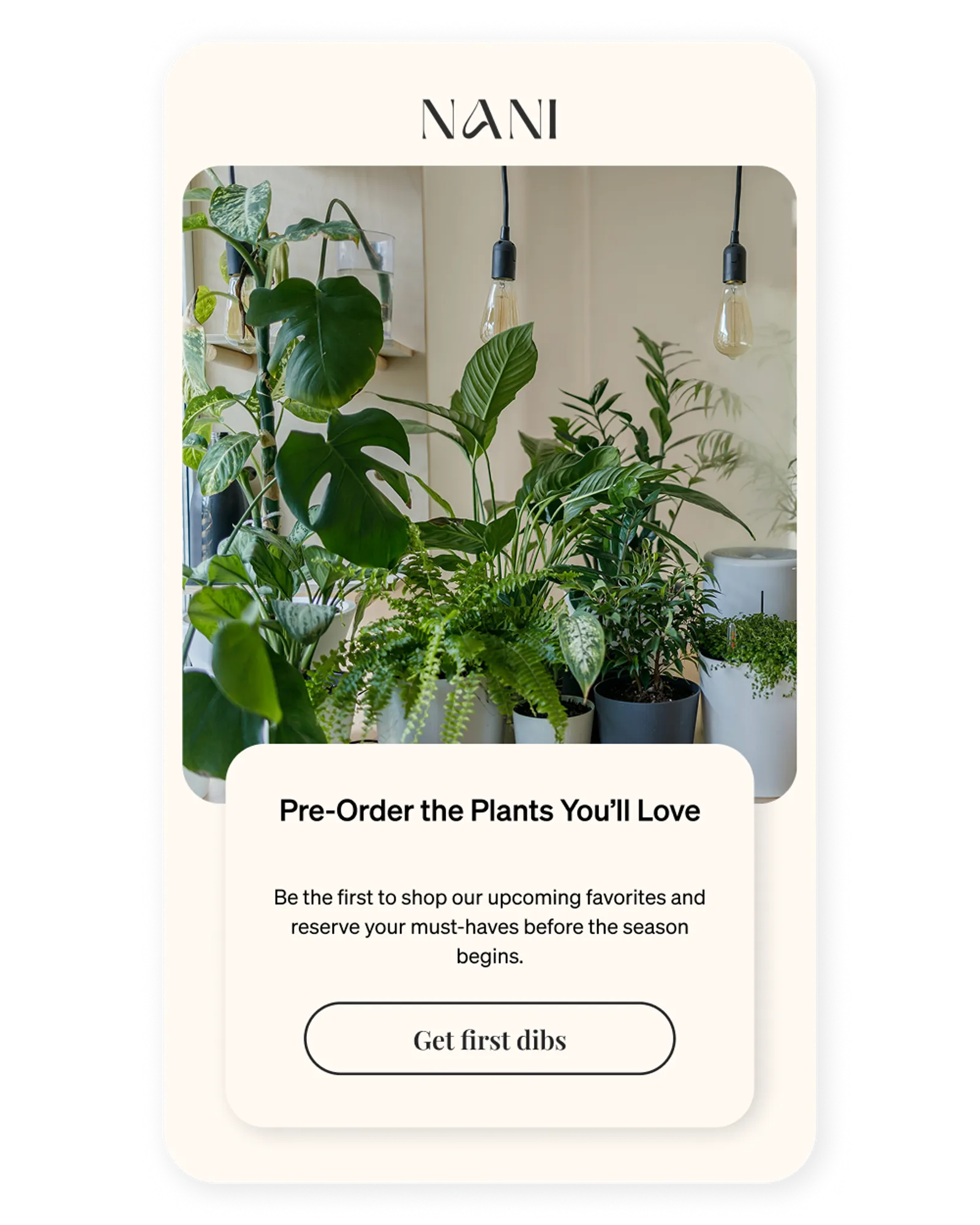 An example pre-order opportunity offer.