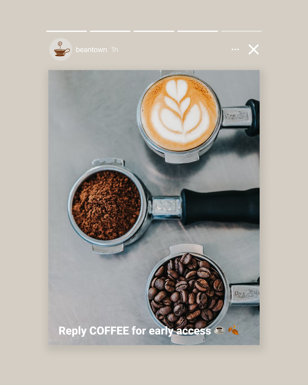 Three espresso portafilters displaying whole coffee beans, ground coffee, and a latte with leaf art.