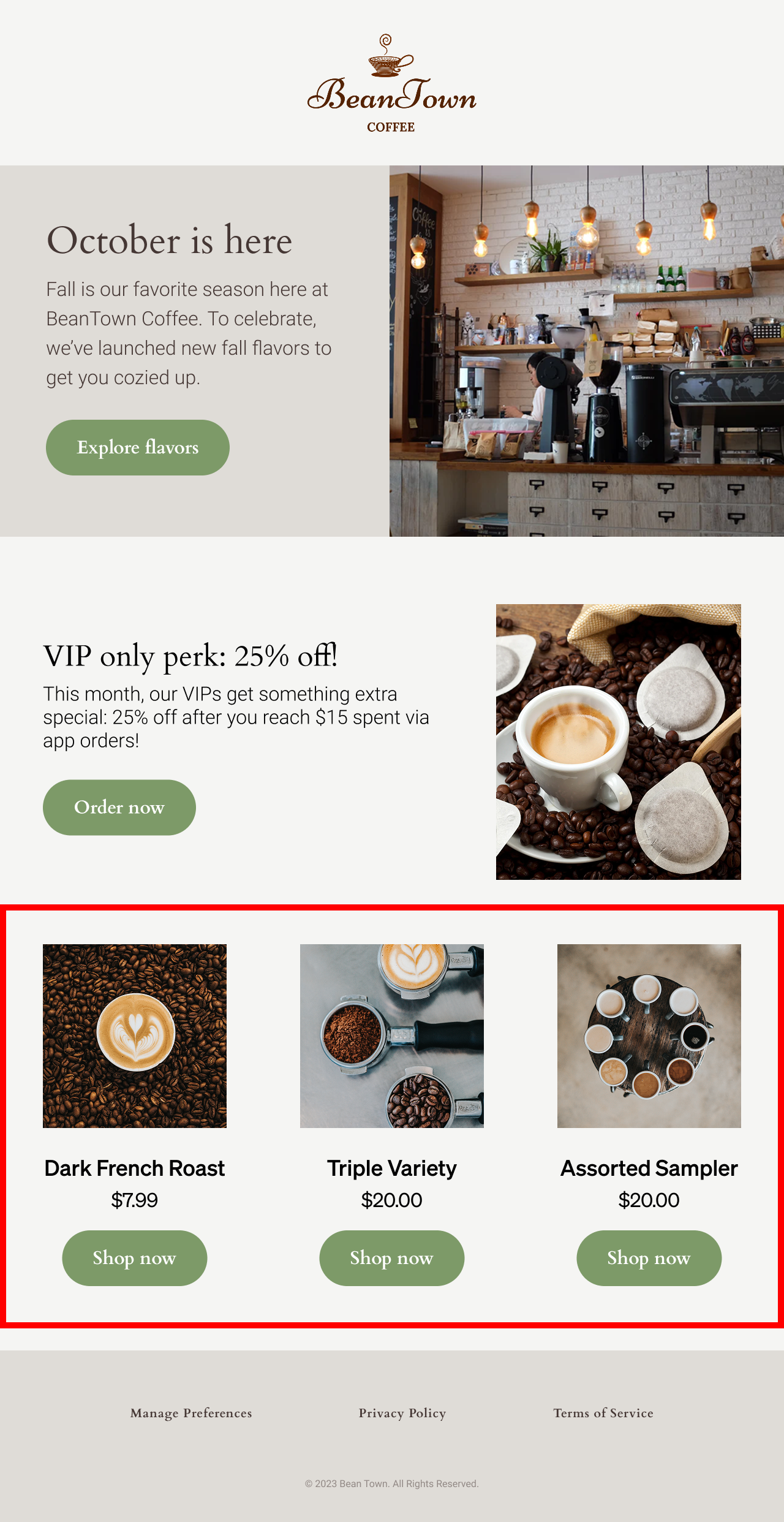 Email example with highlighted dynamic product blocks
