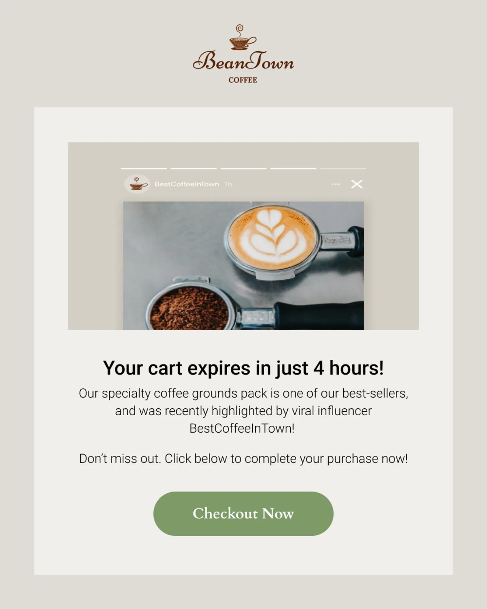 Abandoned cart message featuring an influencer's social media story.