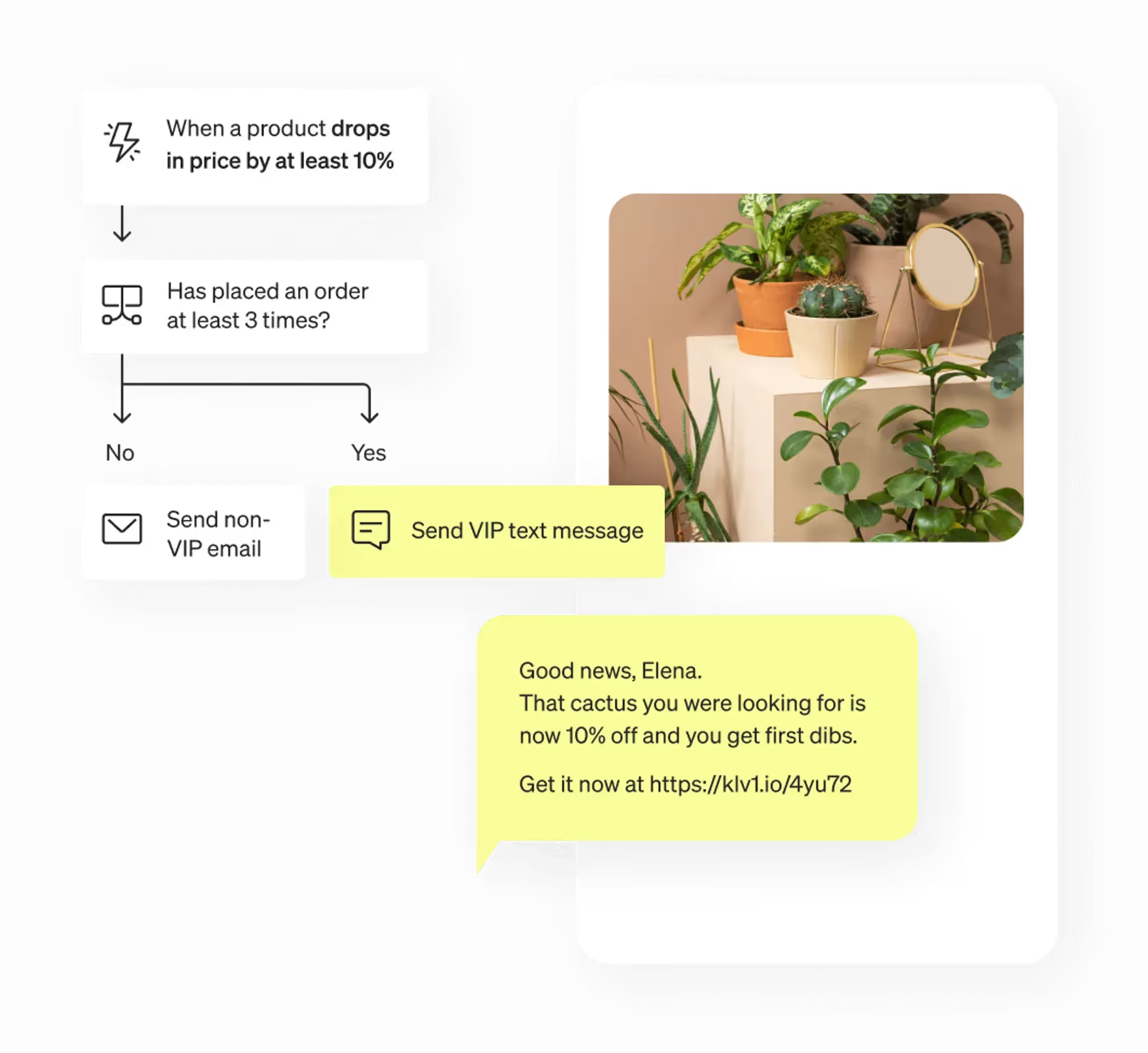Price drop SMS flow with VIP branching.