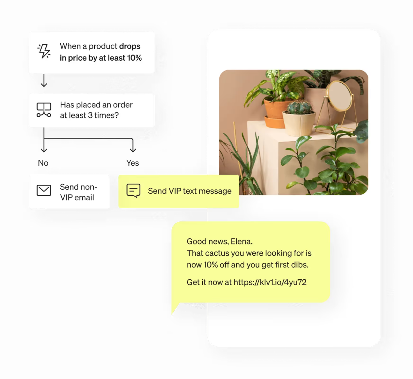 Price drop SMS flow with VIP branching.