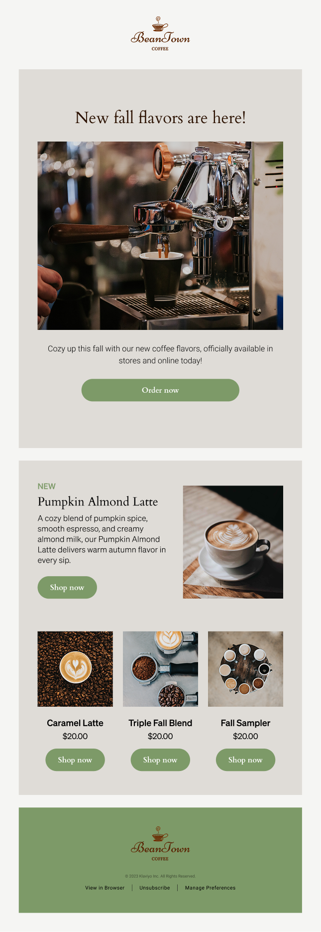Email newsletter with different sections such as a header, body content, and a footer.