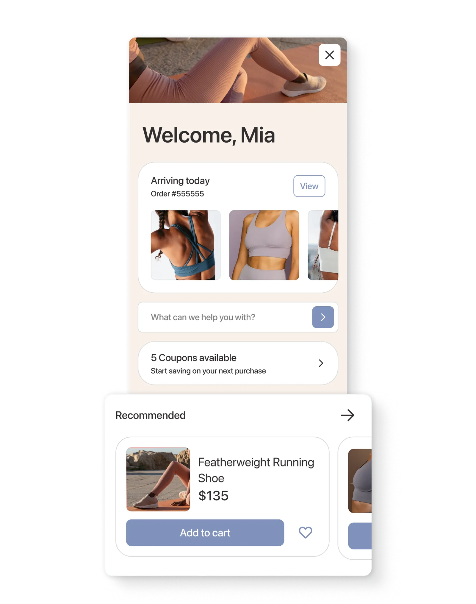 Recommended products in Klaviyo Customer Hub.
