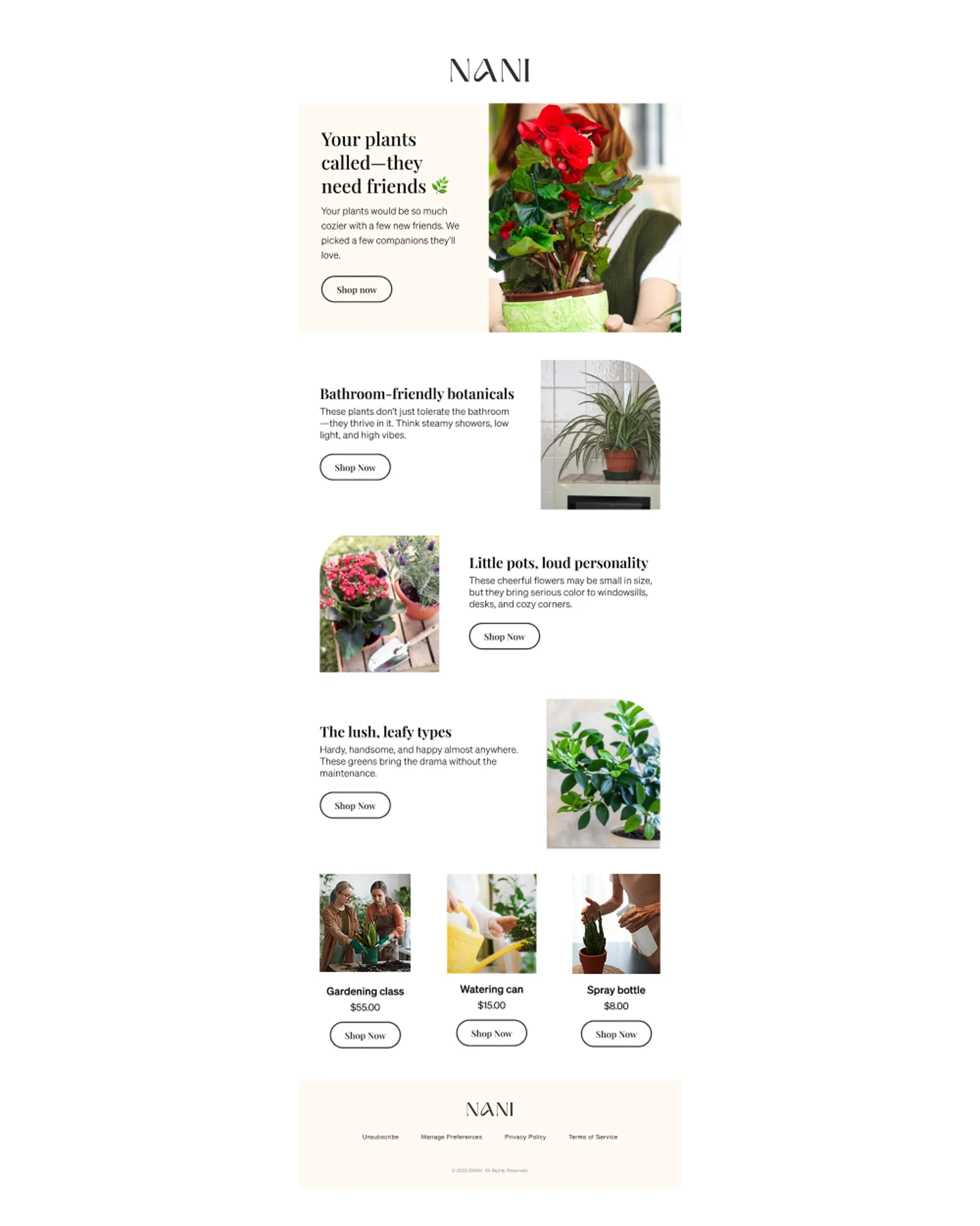 An example cross-sell email in Klaviyo.