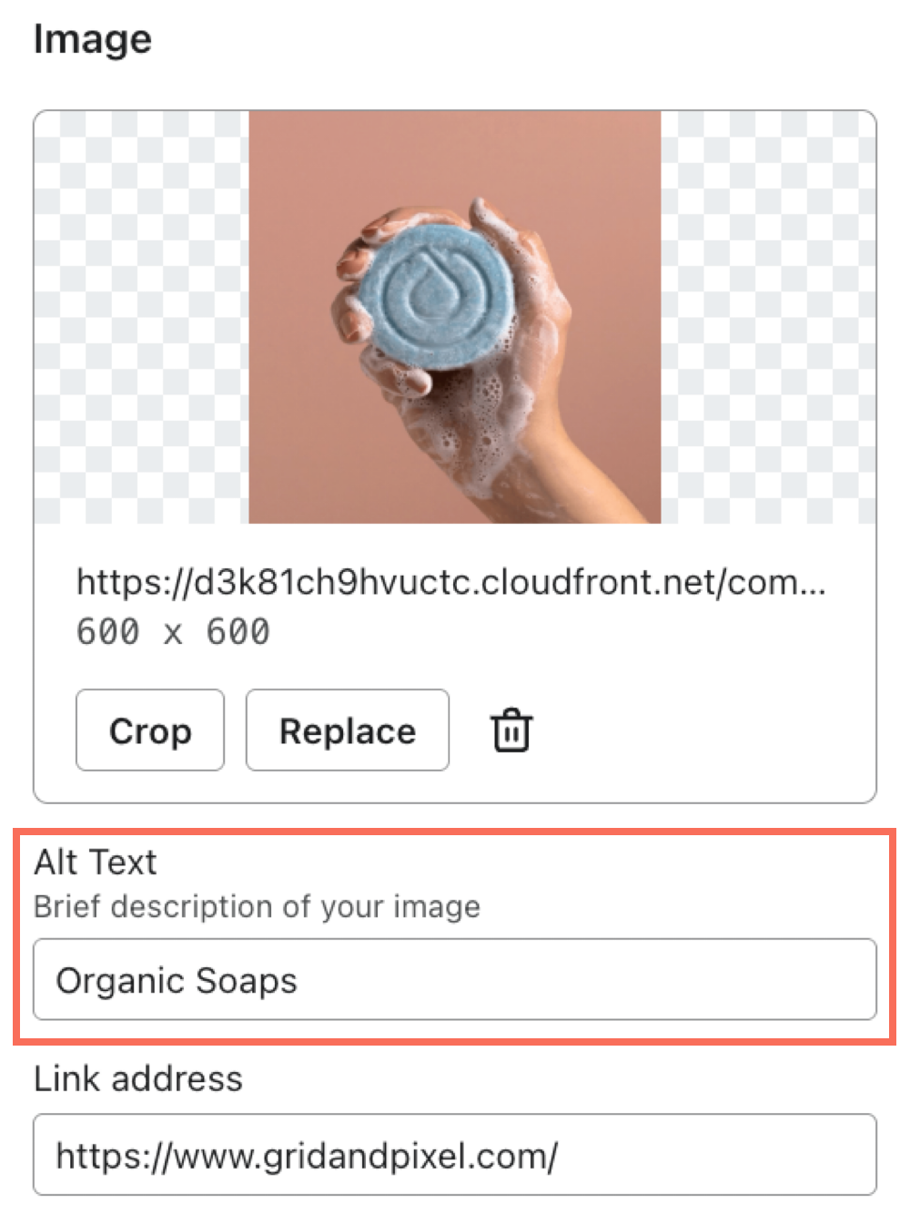 Example of alt text appearing below an image.