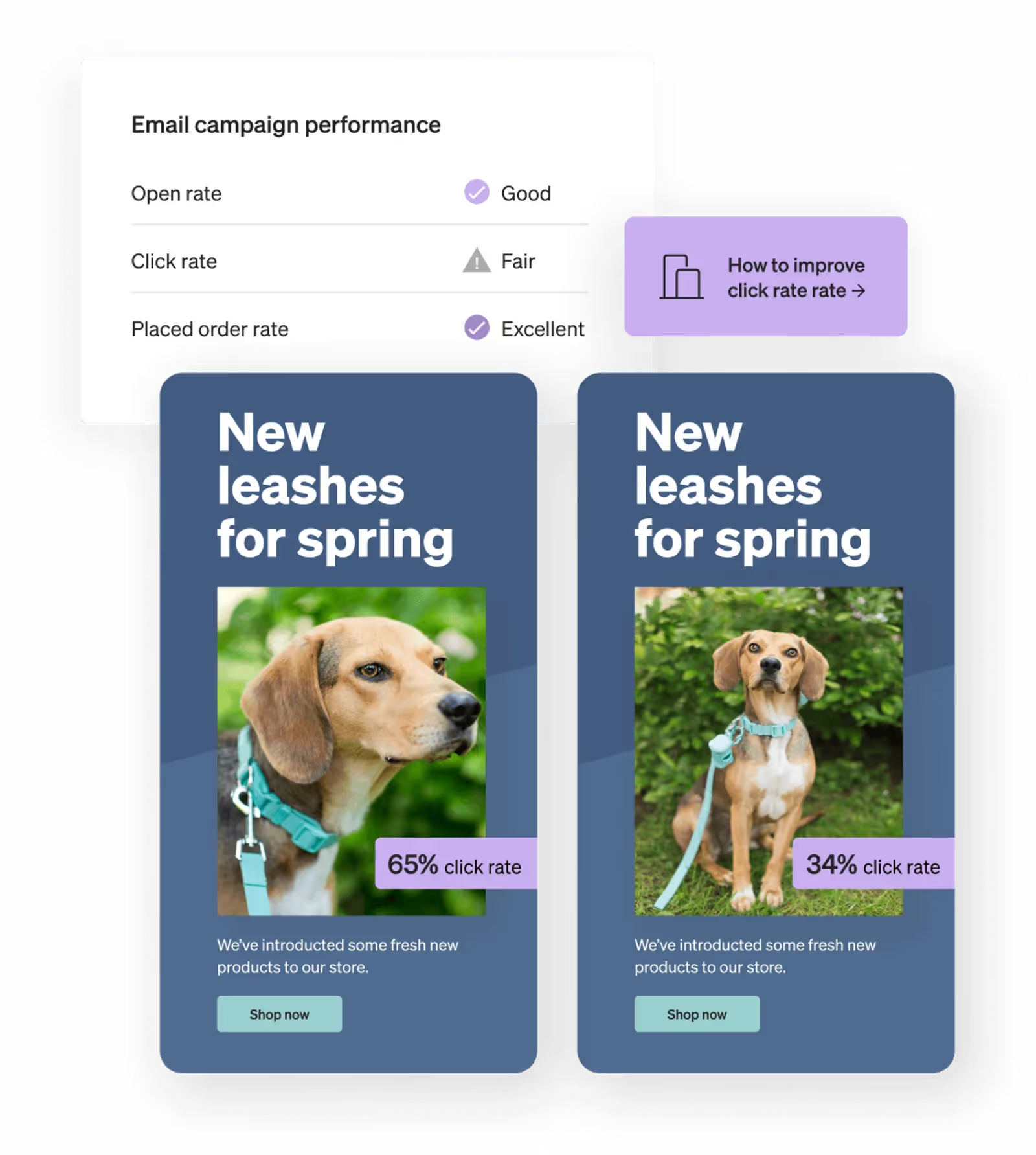 Pet store email campaigns in A/B test graphic.