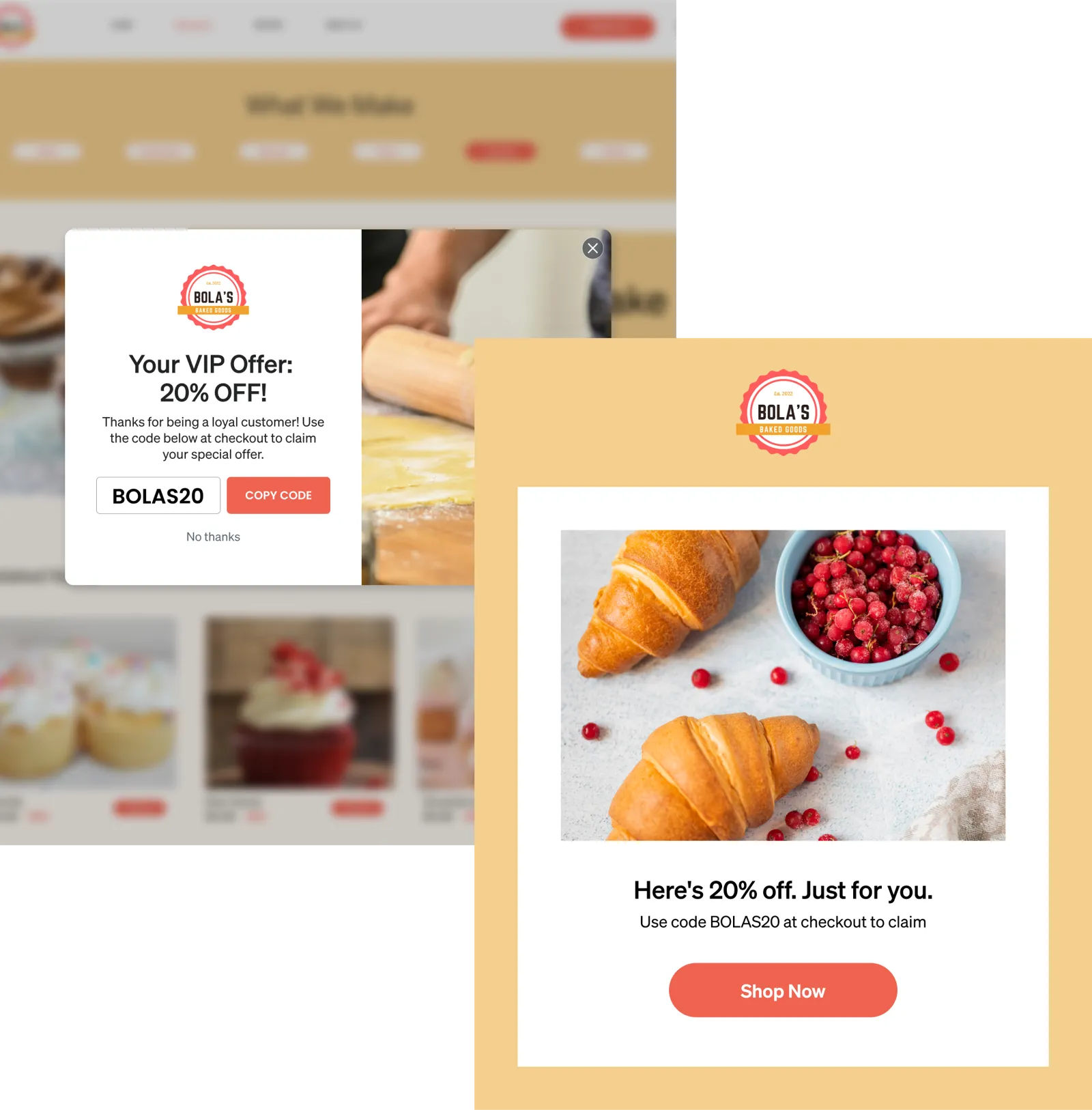 A paired form and campaign showing a VIP discount.
